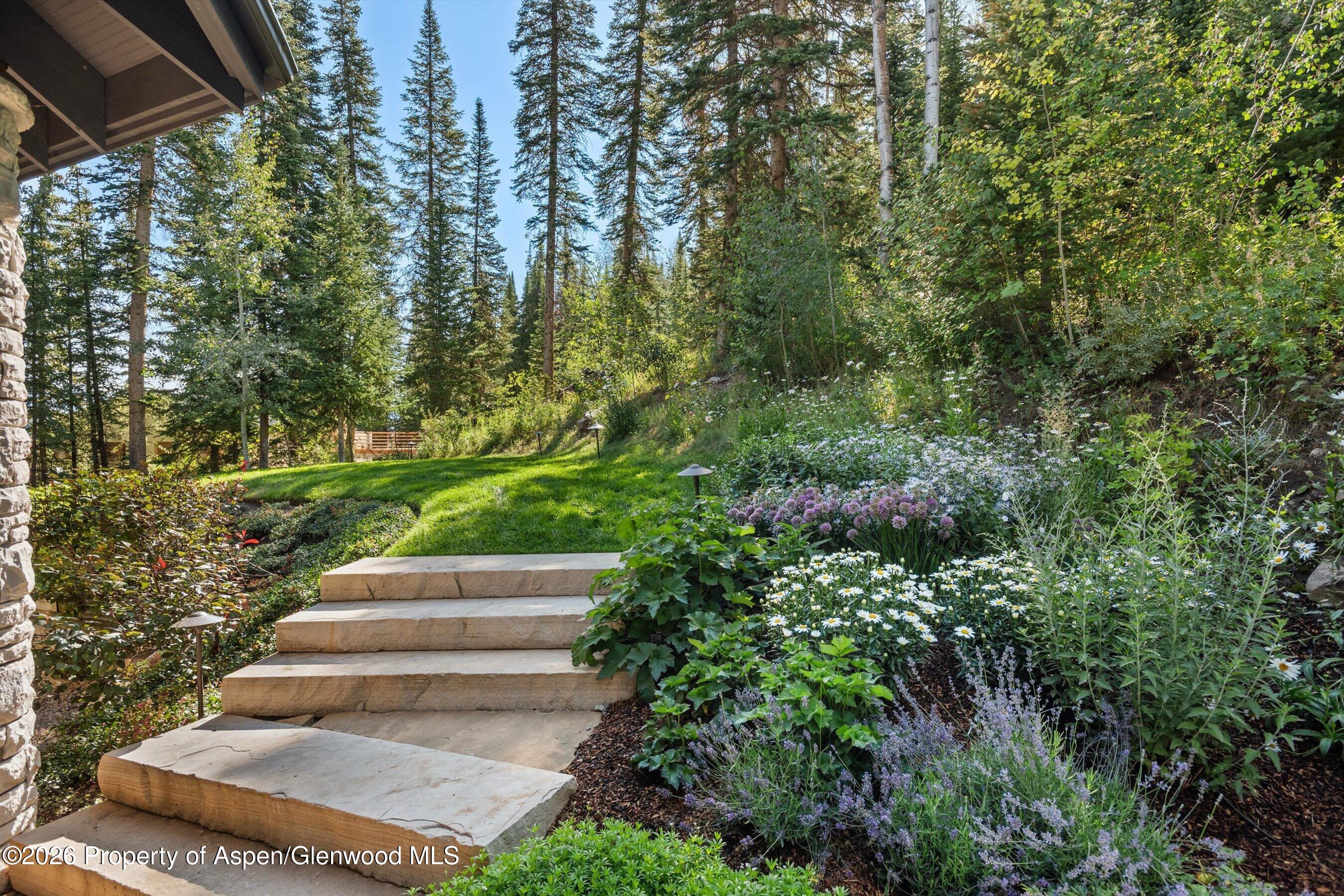 32 Elk Ridge Lane Snowmass Village CO 81615