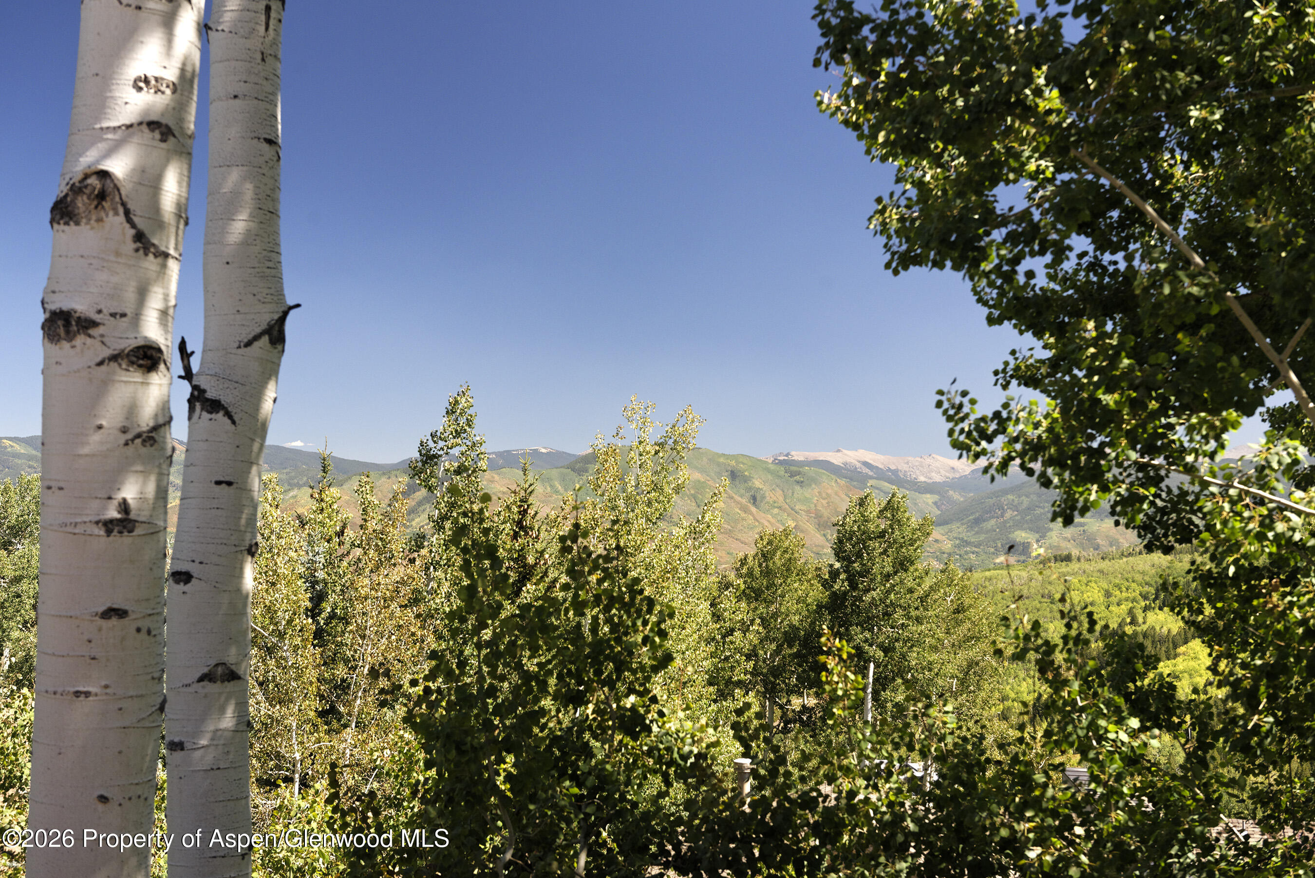 45 Ermine Lane Snowmass Village CO 81615