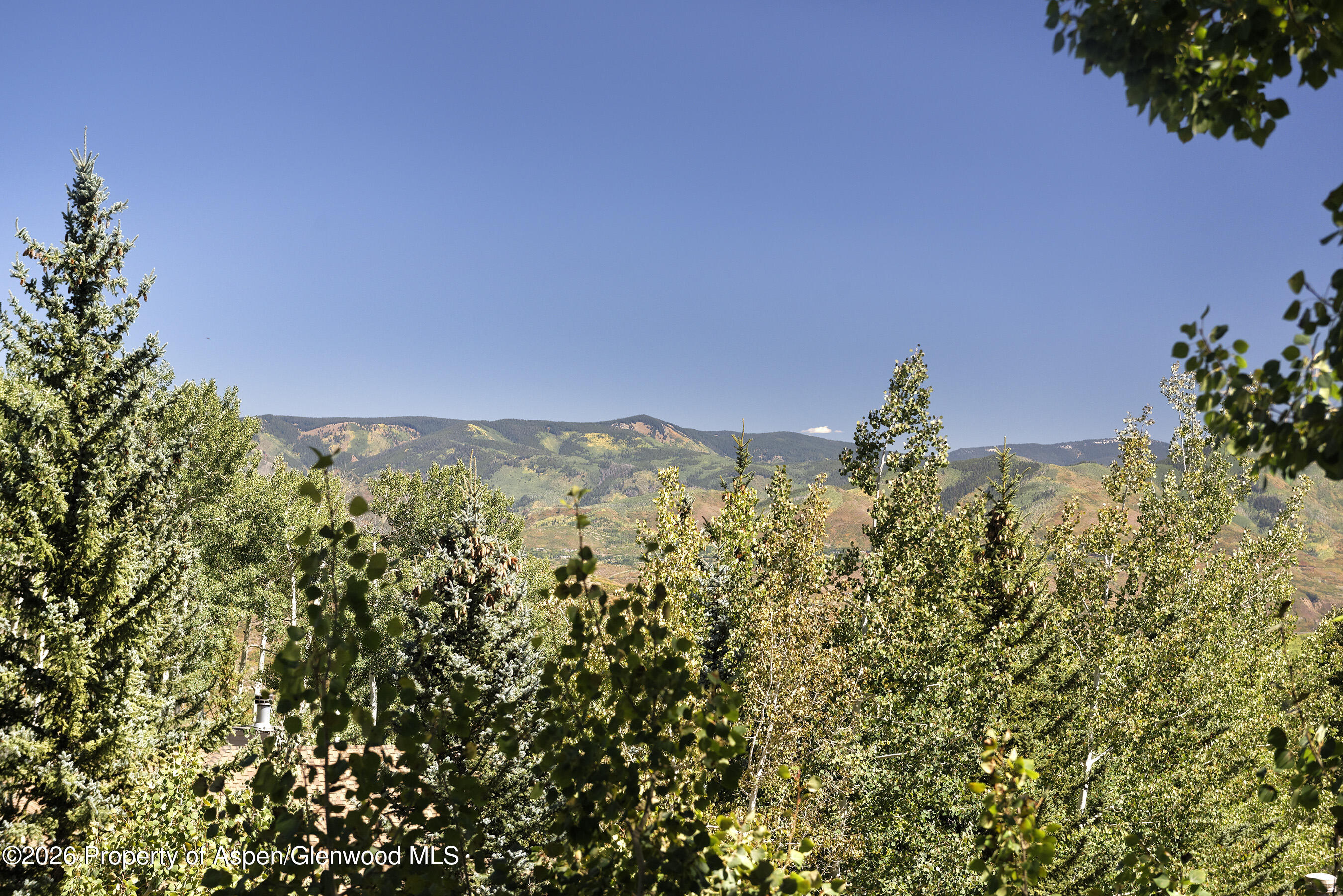 45 Ermine Lane Snowmass Village CO 81615