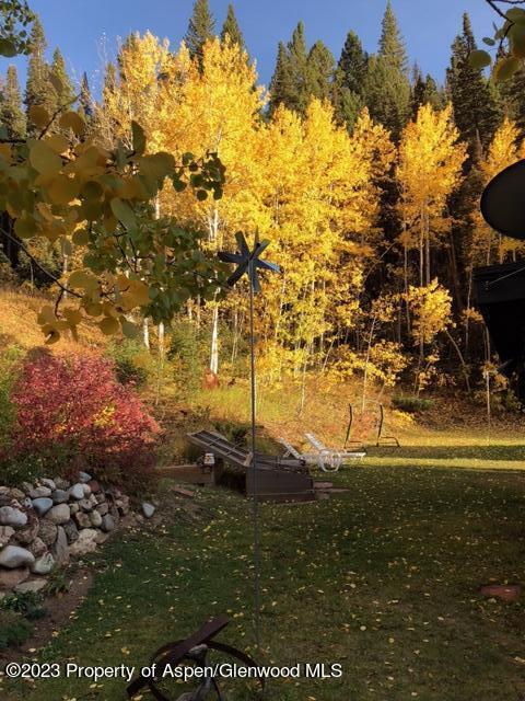 8266 Woody Creek Road Woody Creek CO 81656