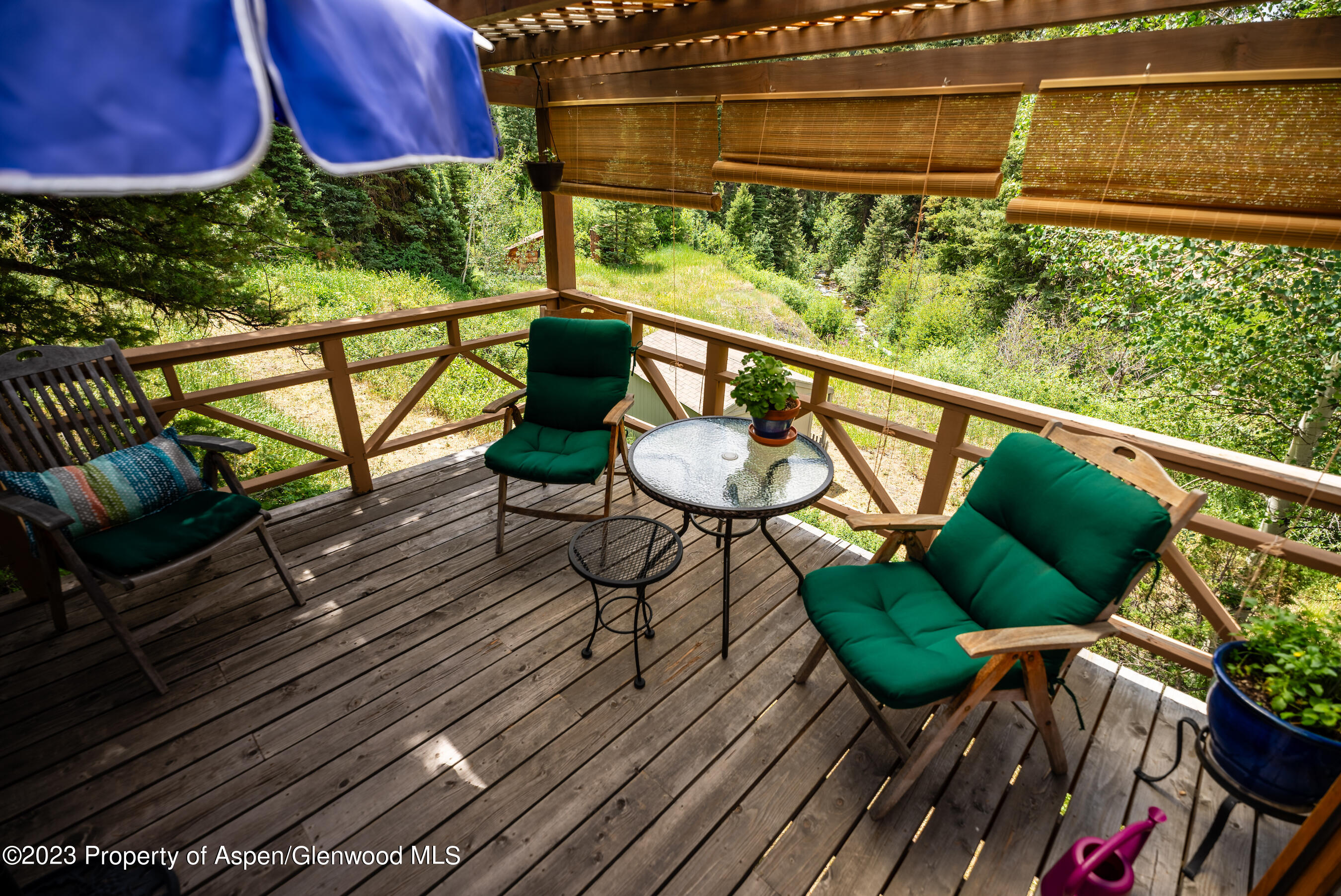 8266 Woody Creek Road Woody Creek CO 81656