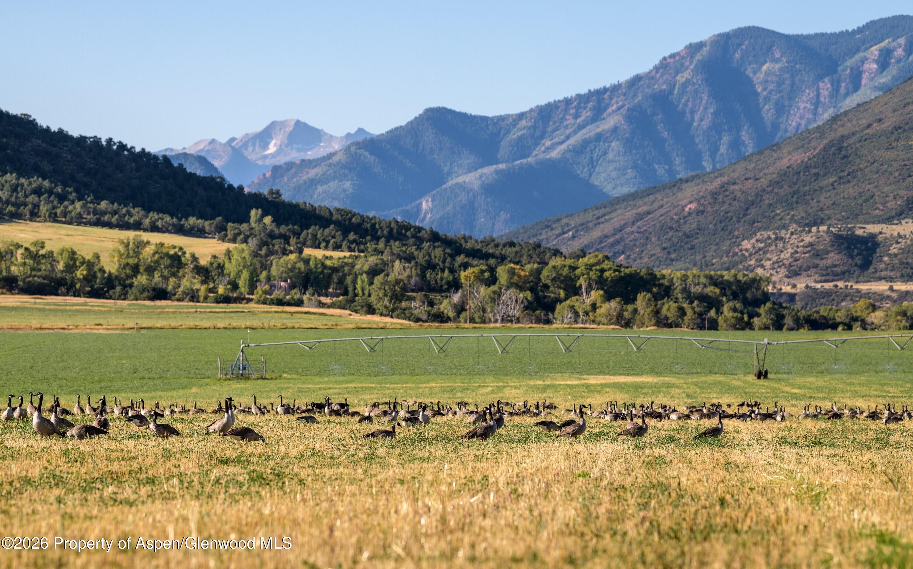 1625 Prince Creek Road Carbondale CO 81623