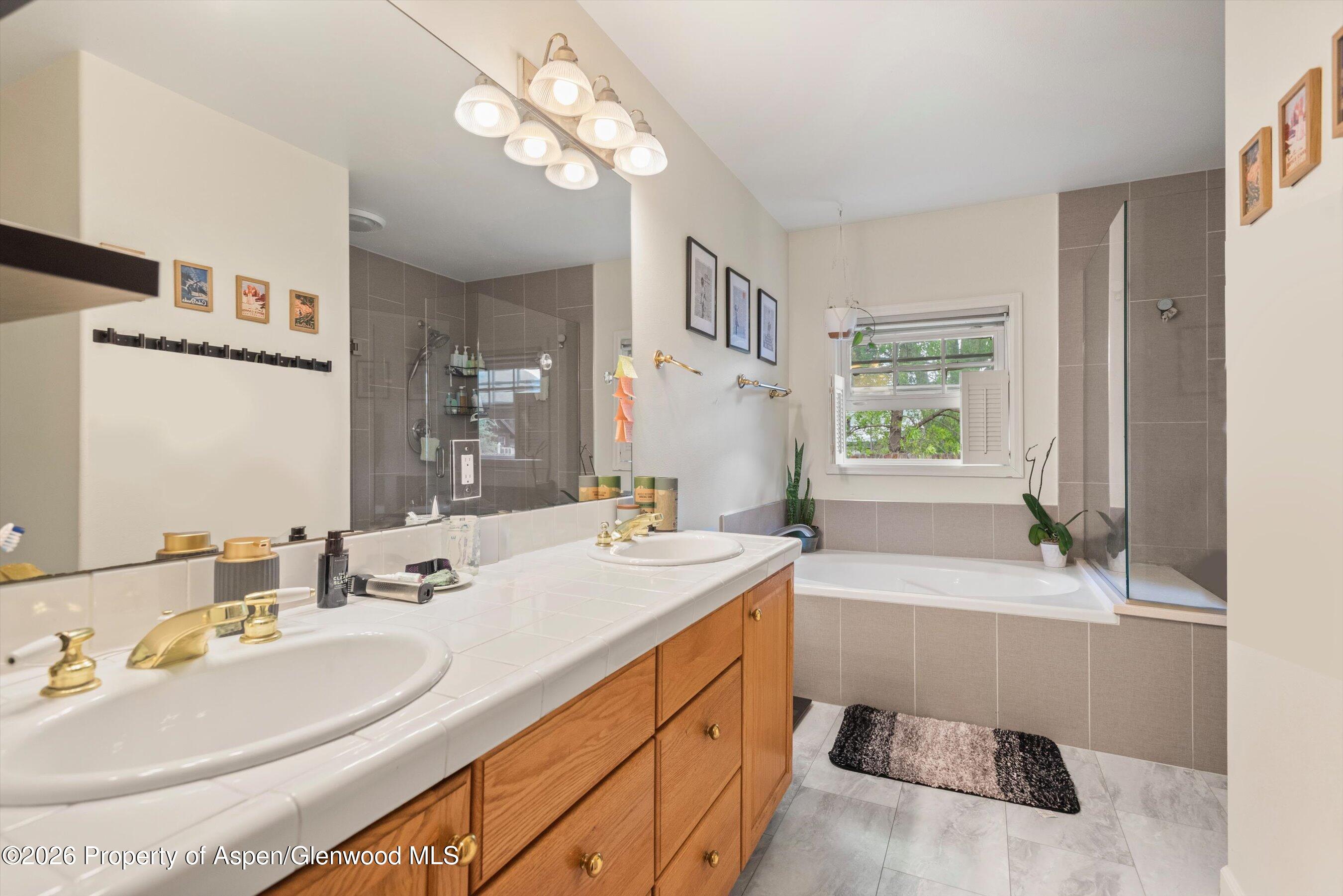 730 Latigo Loop Carbondale CO 81623