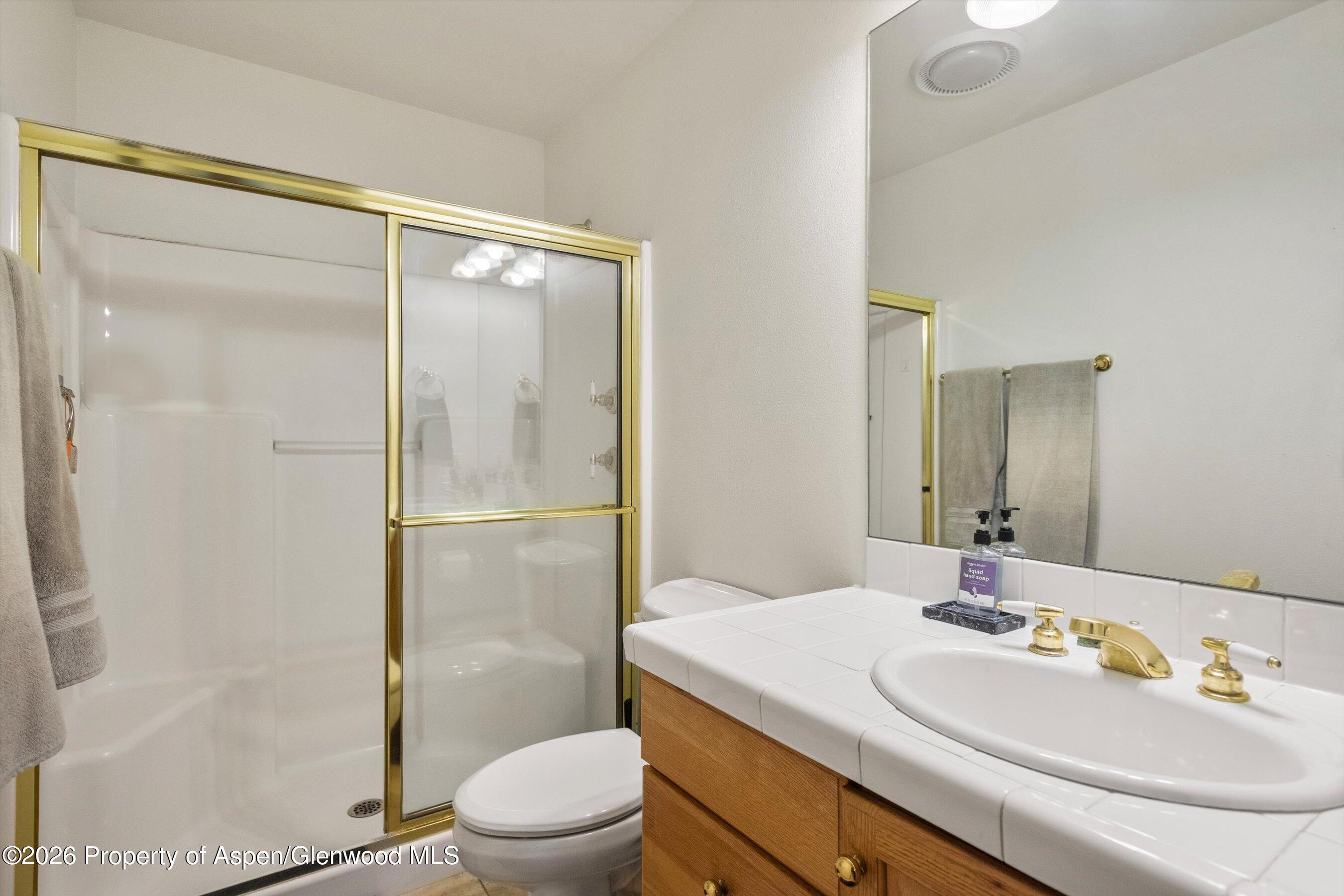 730 Latigo Loop Carbondale CO 81623