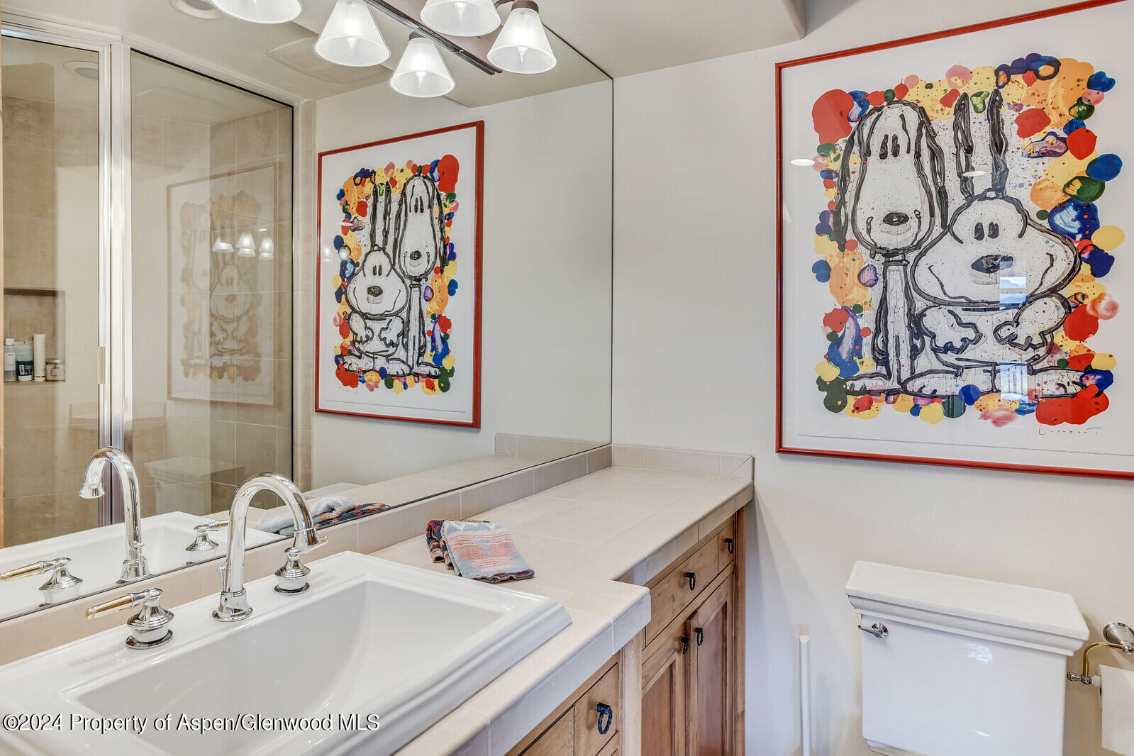 200 Stewart Drive Aspen CO 81611