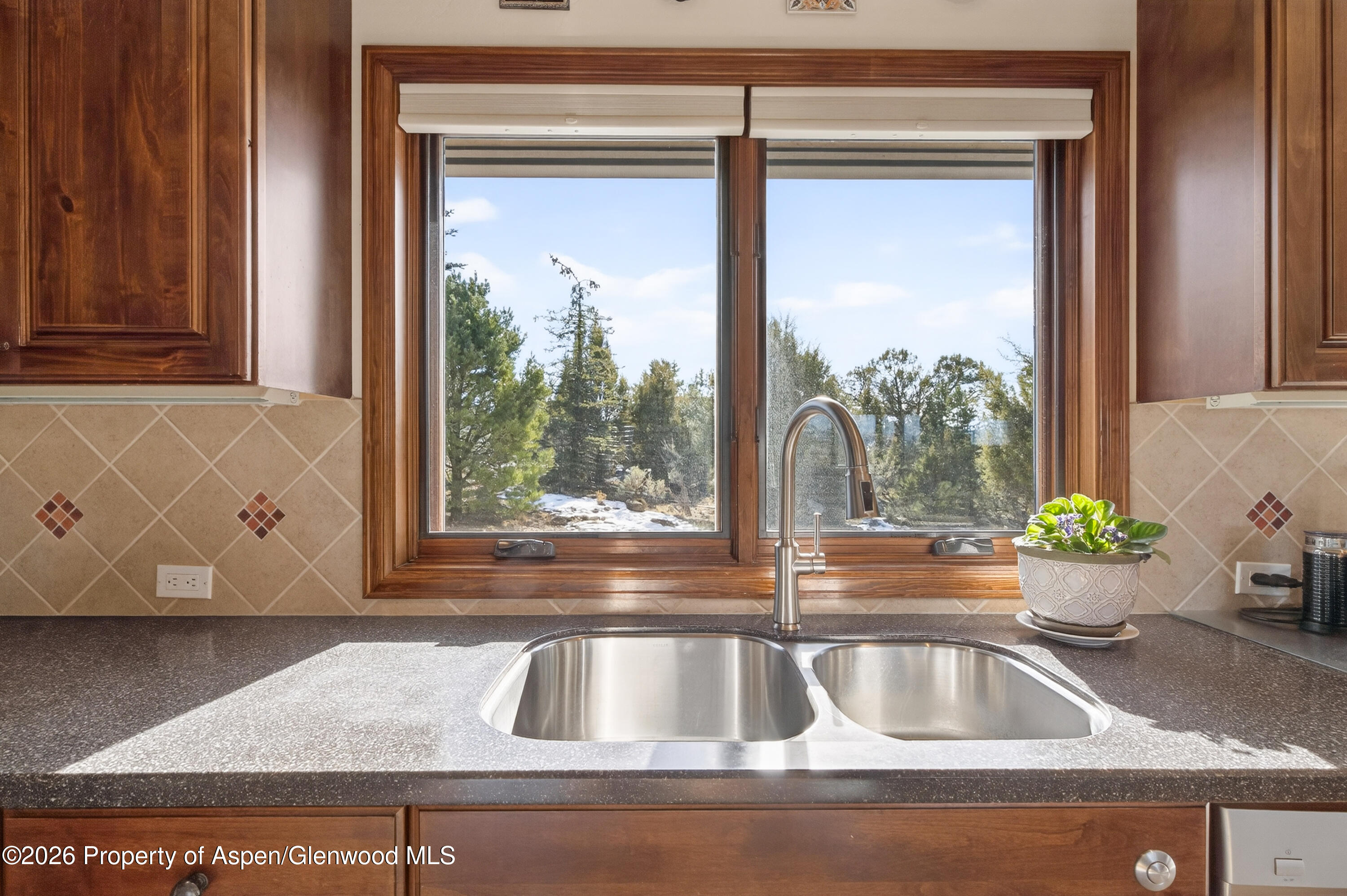 1136 Elk Springs Drive Glenwood Springs CO 81601