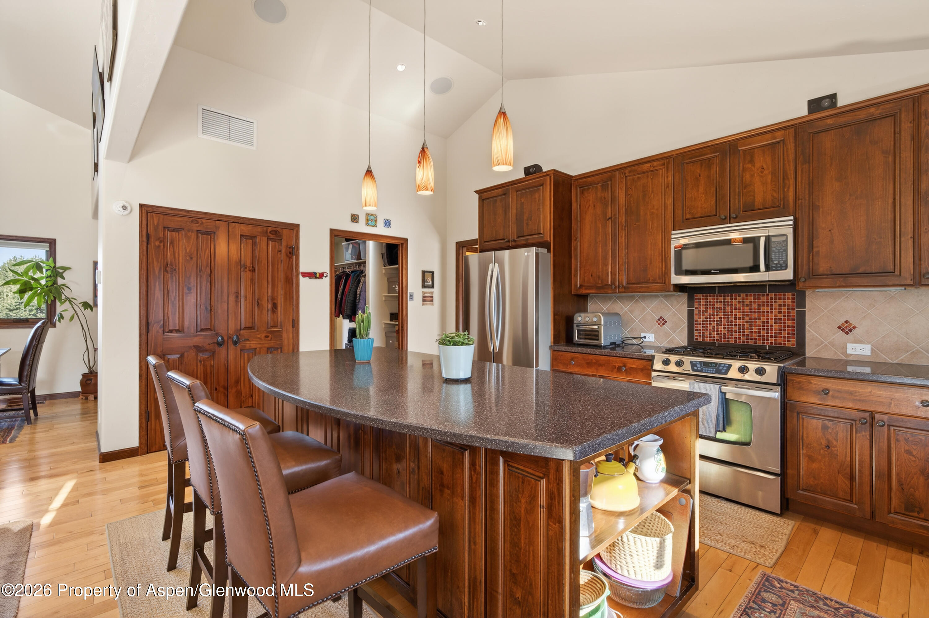 1136 Elk Springs Drive Glenwood Springs CO 81601