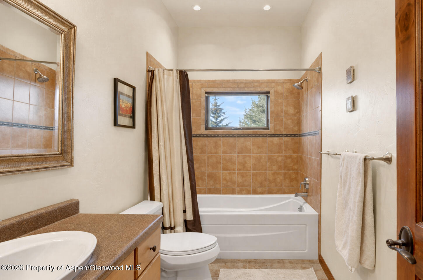 1136 Elk Springs Drive Glenwood Springs CO 81601