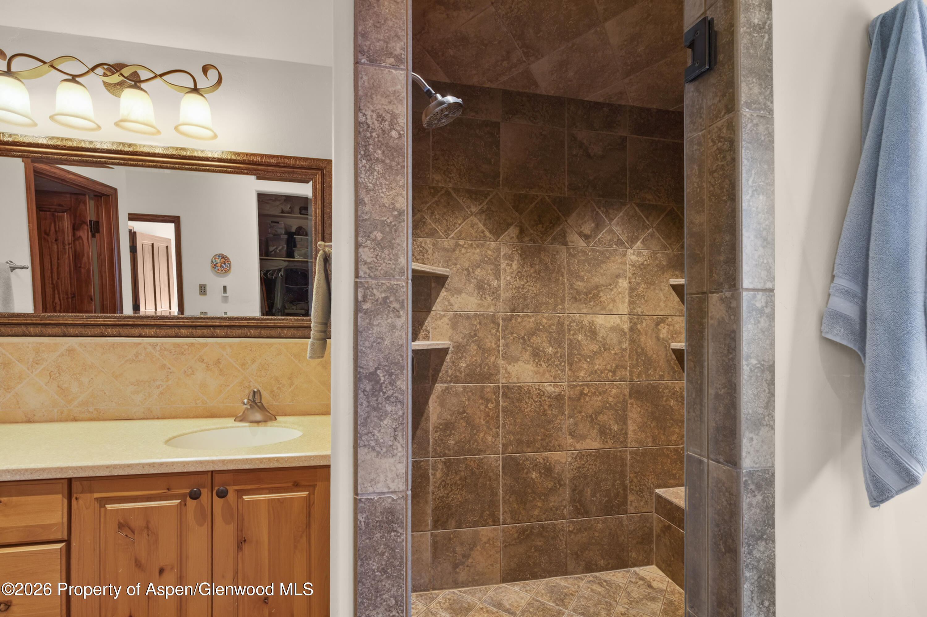 1136 Elk Springs Drive Glenwood Springs CO 81601