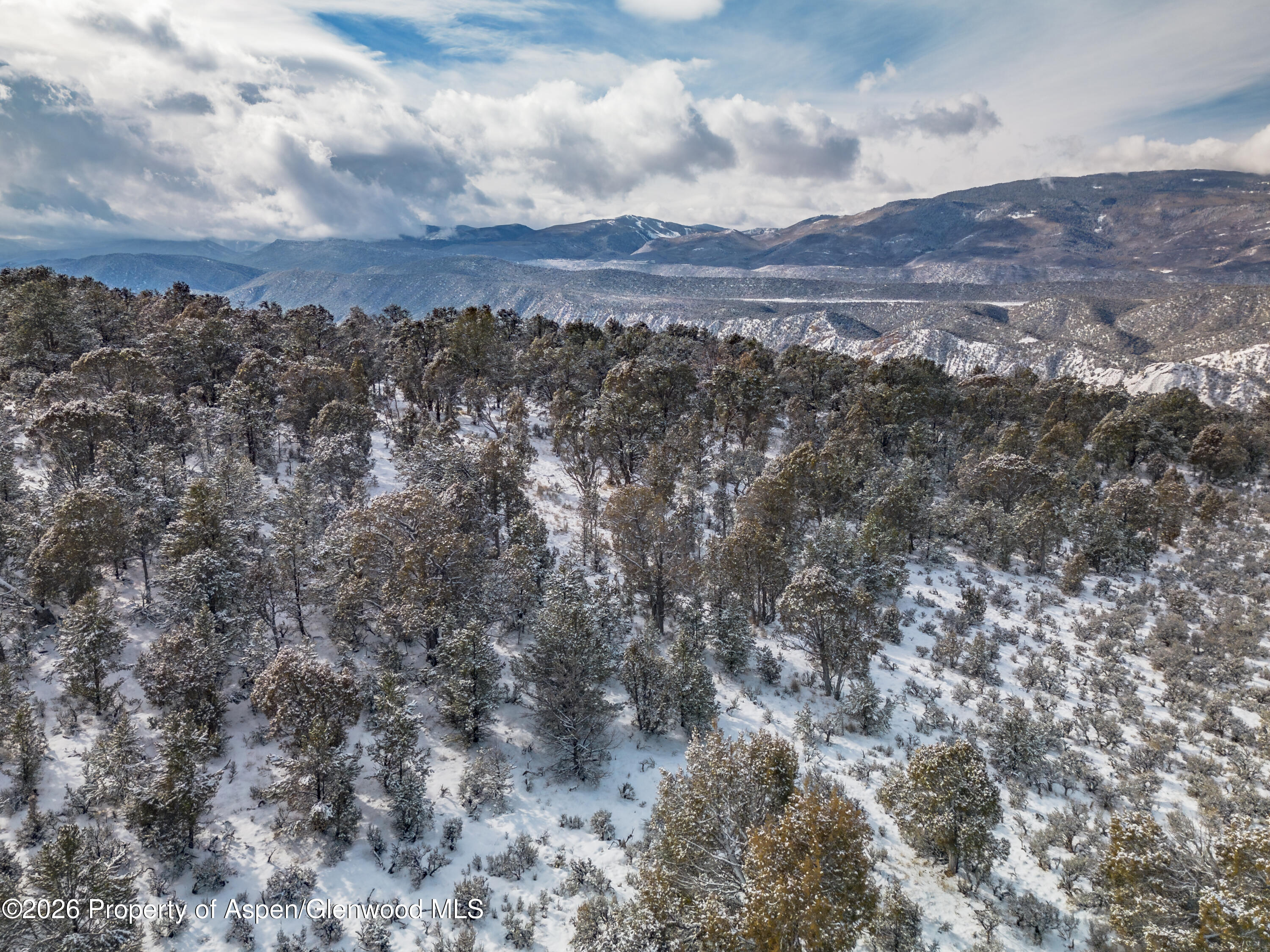 1136 Elk Springs Drive Glenwood Springs CO 81601