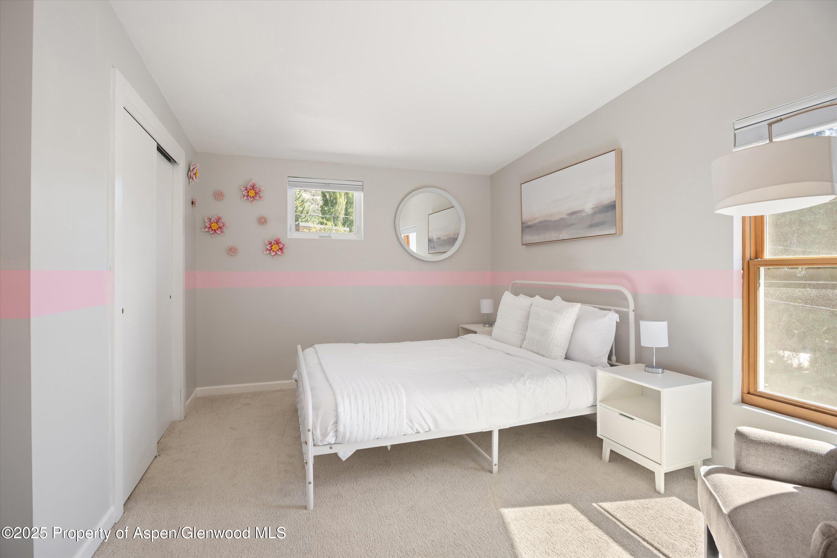 217 Longhorn Lane Basalt CO 81621