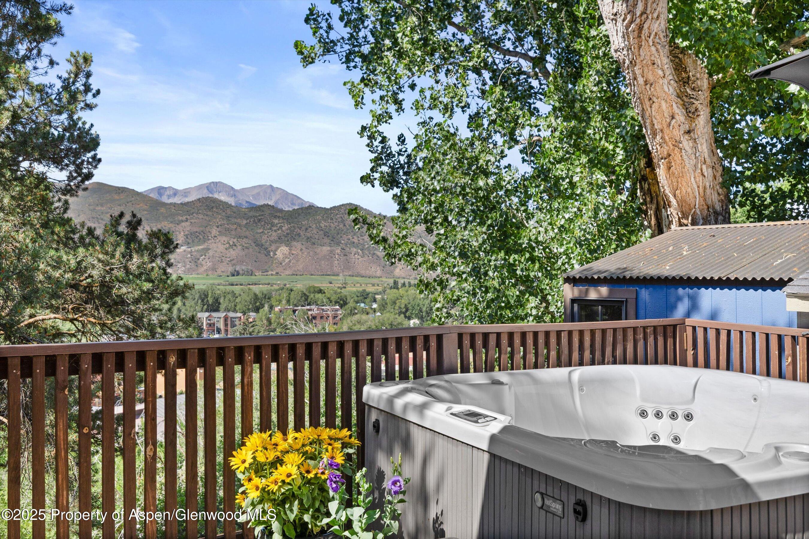 217 Longhorn Lane Basalt CO 81621