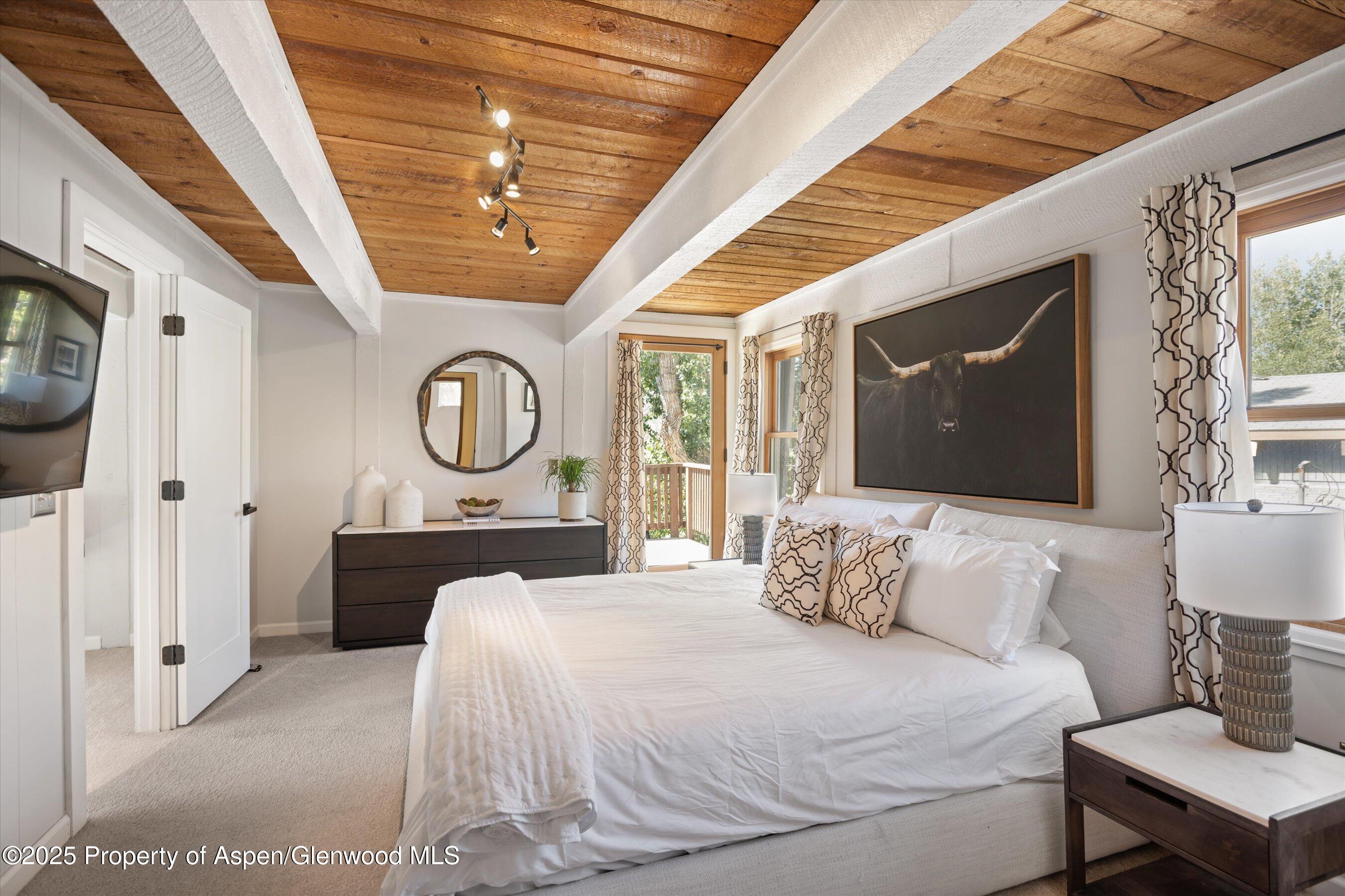 217 Longhorn Lane Basalt CO 81621