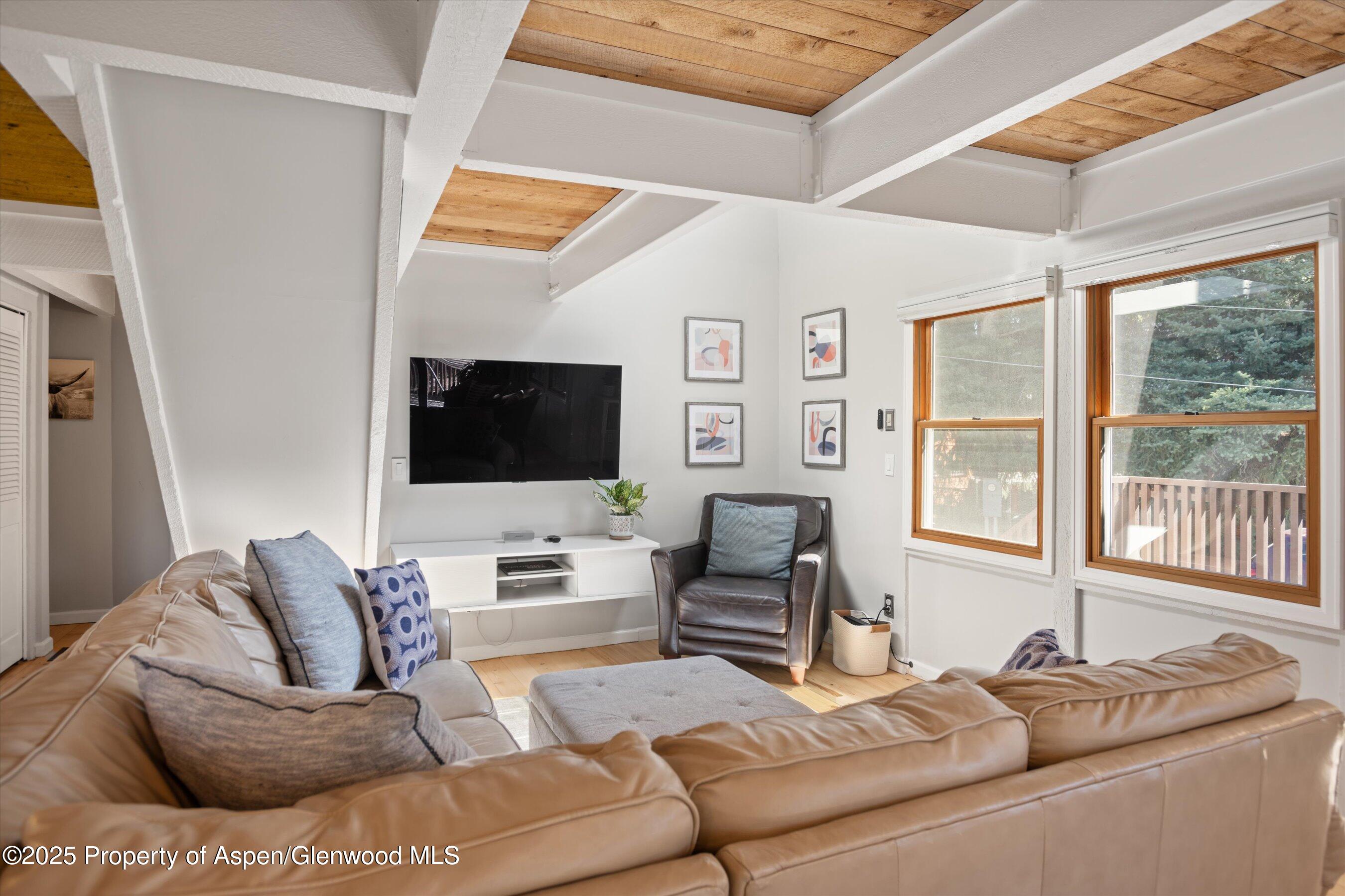 217 Longhorn Lane Basalt CO 81621