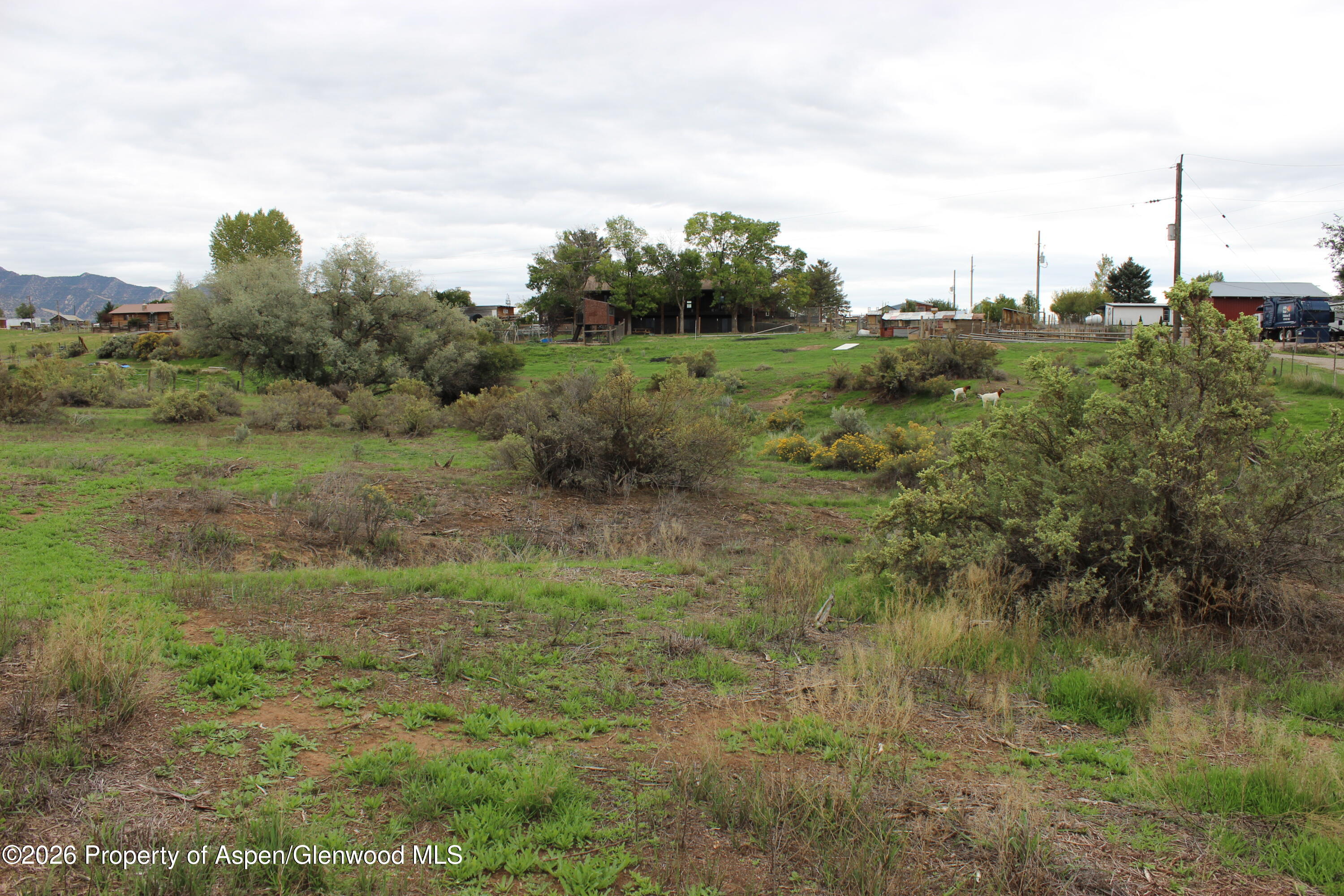 113 Fox Run Road Rifle CO 81650