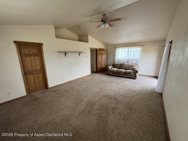3490 County Road 311 New Castle CO 81647
