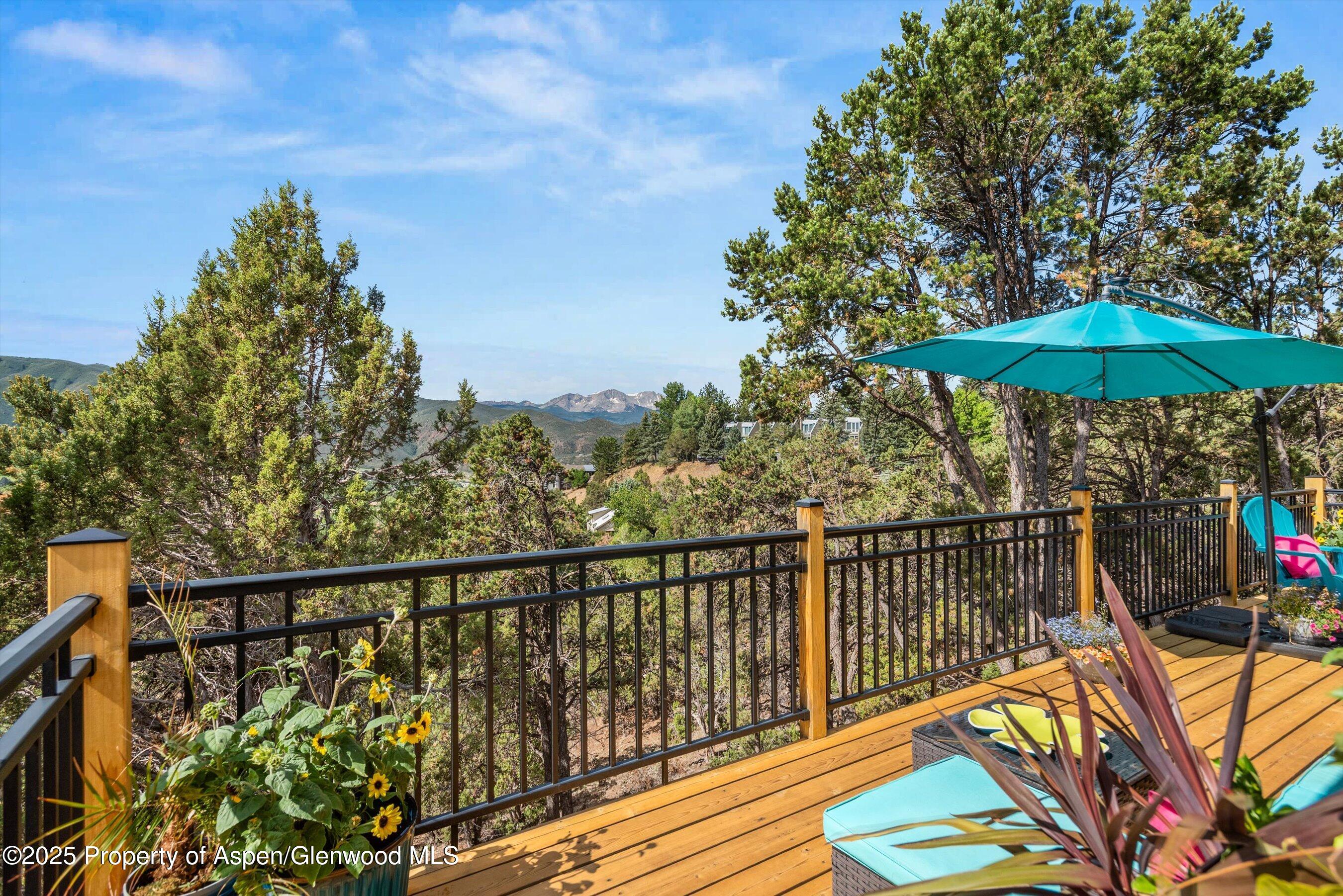 679 Pinon Drive Basalt CO 81621