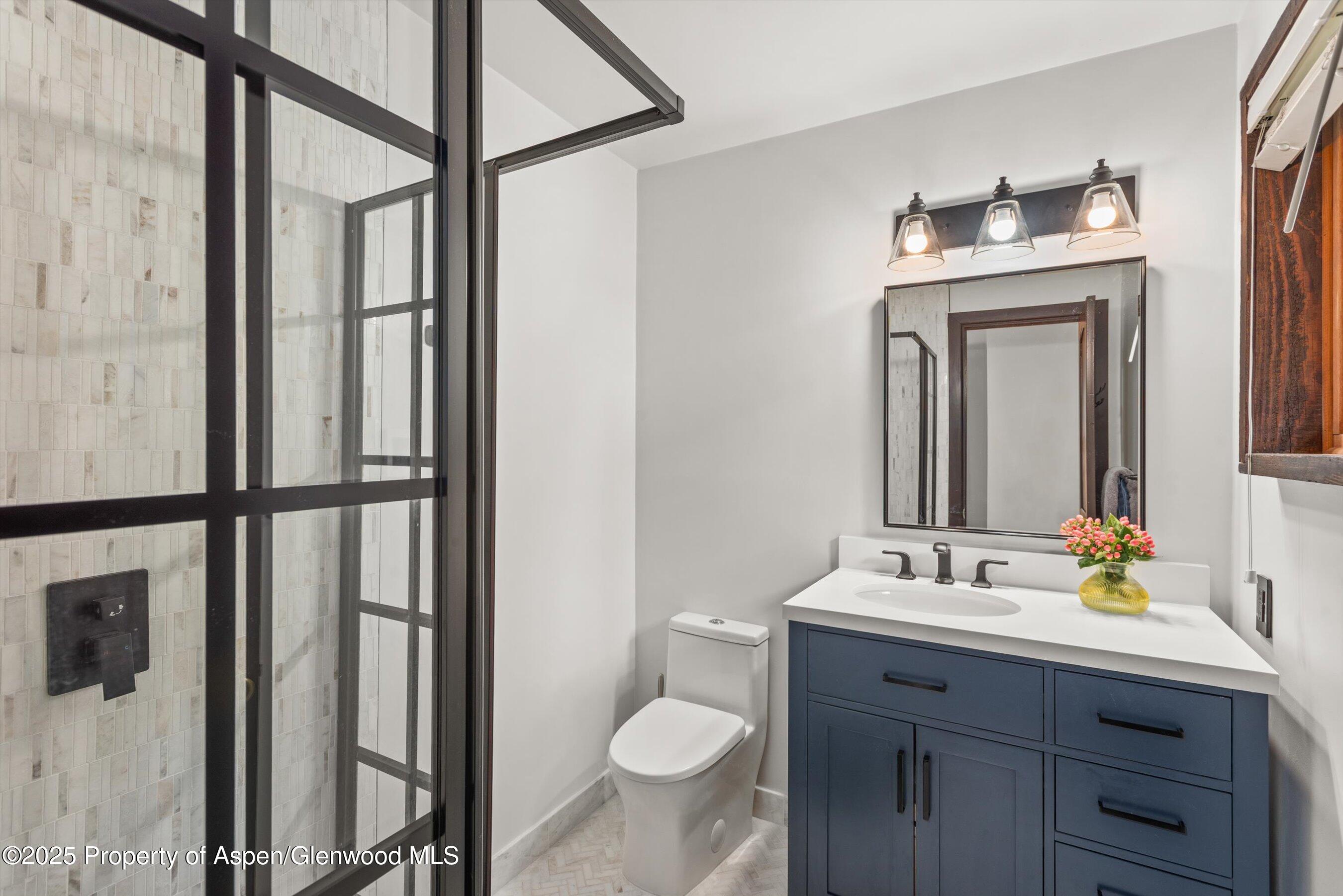 679 Pinon Drive Basalt CO 81621