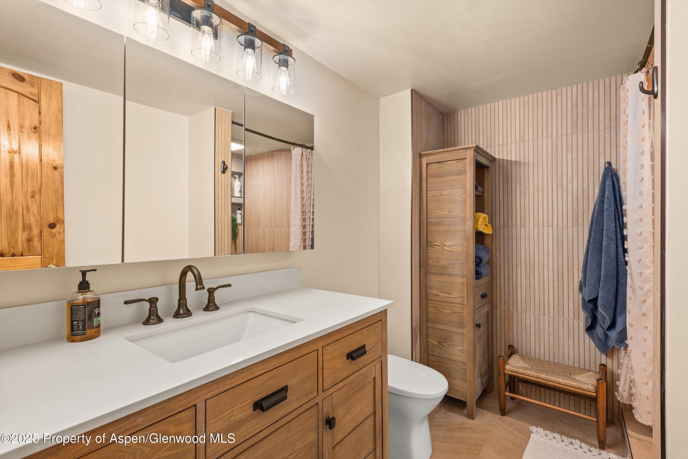 679 Pinon Drive Basalt CO 81621