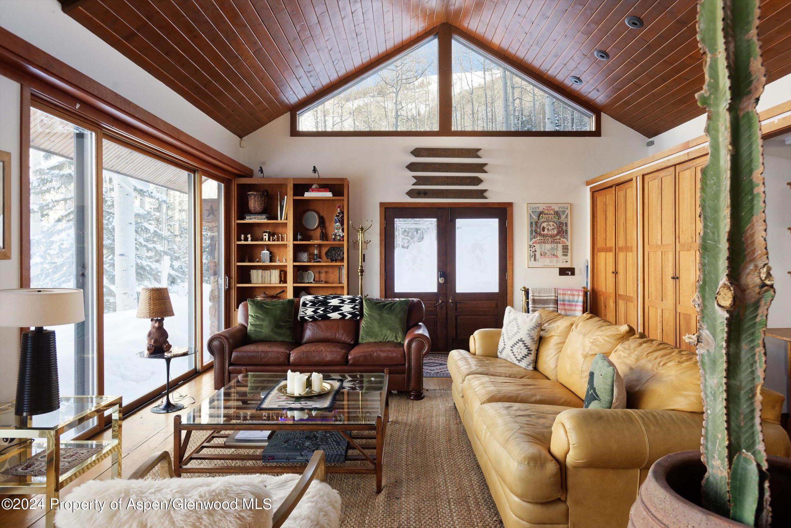 88 Lower Hurricane Road Aspen CO 81611