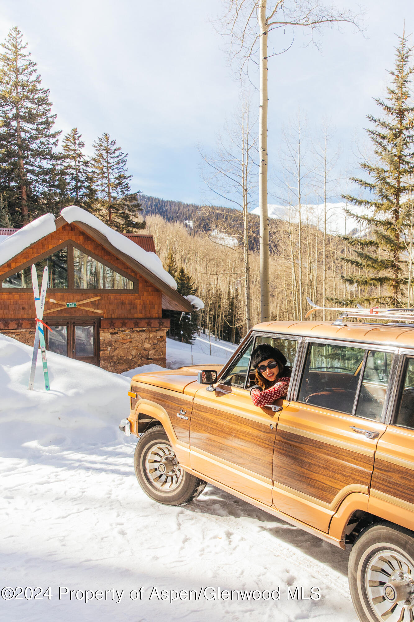 88 Lower Hurricane Road Aspen CO 81611