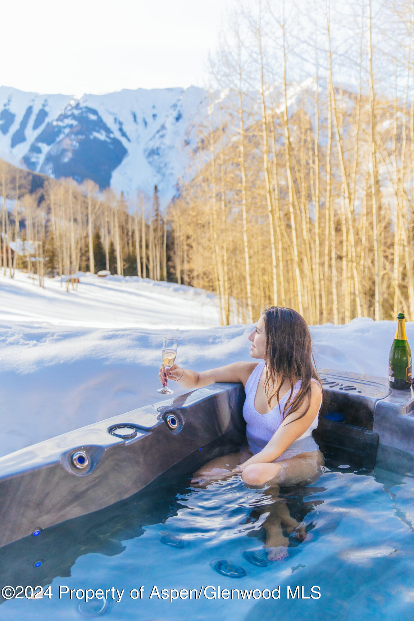 88 Lower Hurricane Road Aspen CO 81611