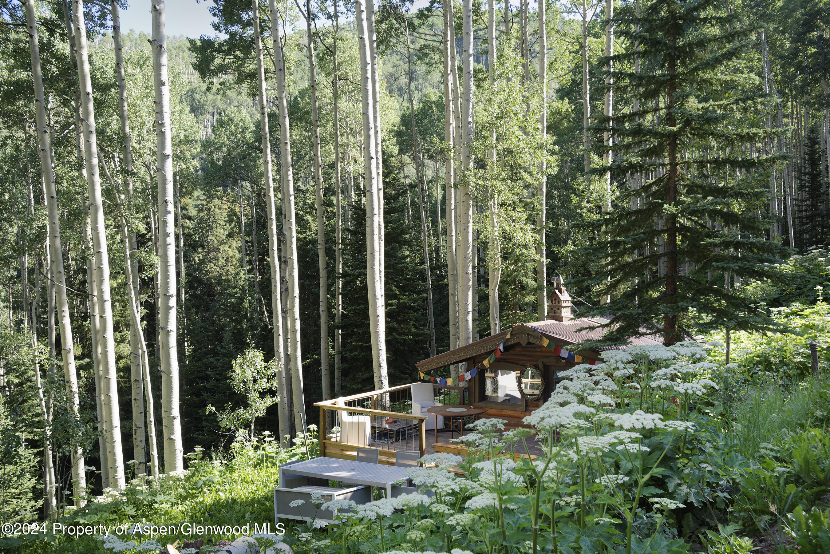 88 Lower Hurricane Road Aspen CO 81611