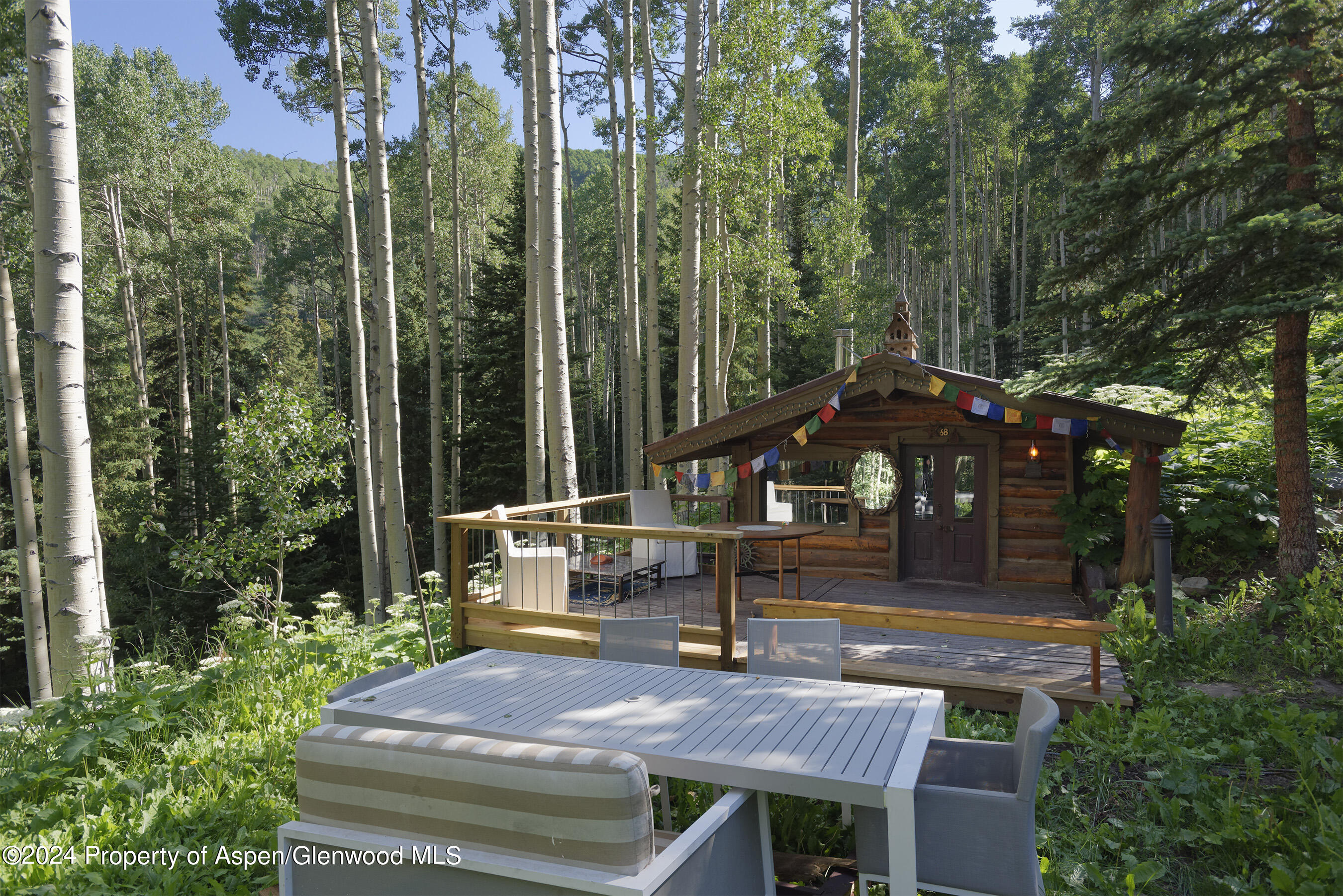 88 Lower Hurricane Road Aspen CO 81611