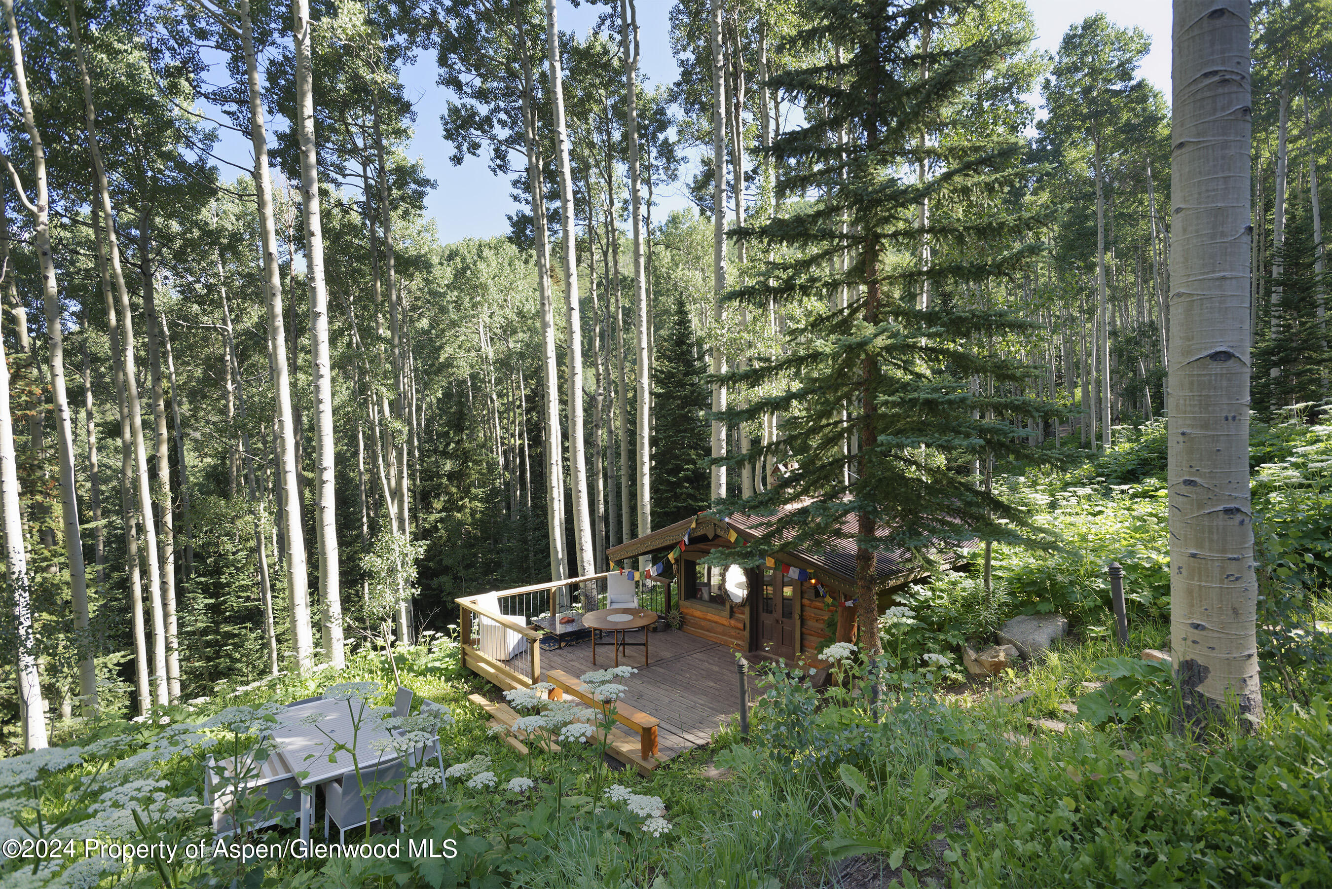 88 Lower Hurricane Road Aspen CO 81611