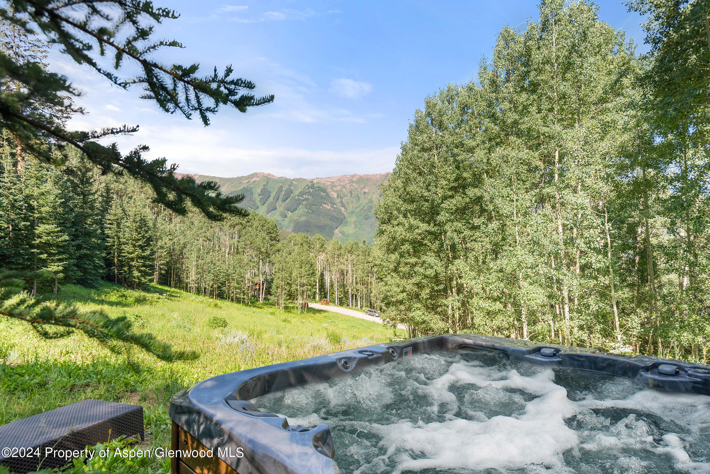 88 Lower Hurricane Road Aspen CO 81611