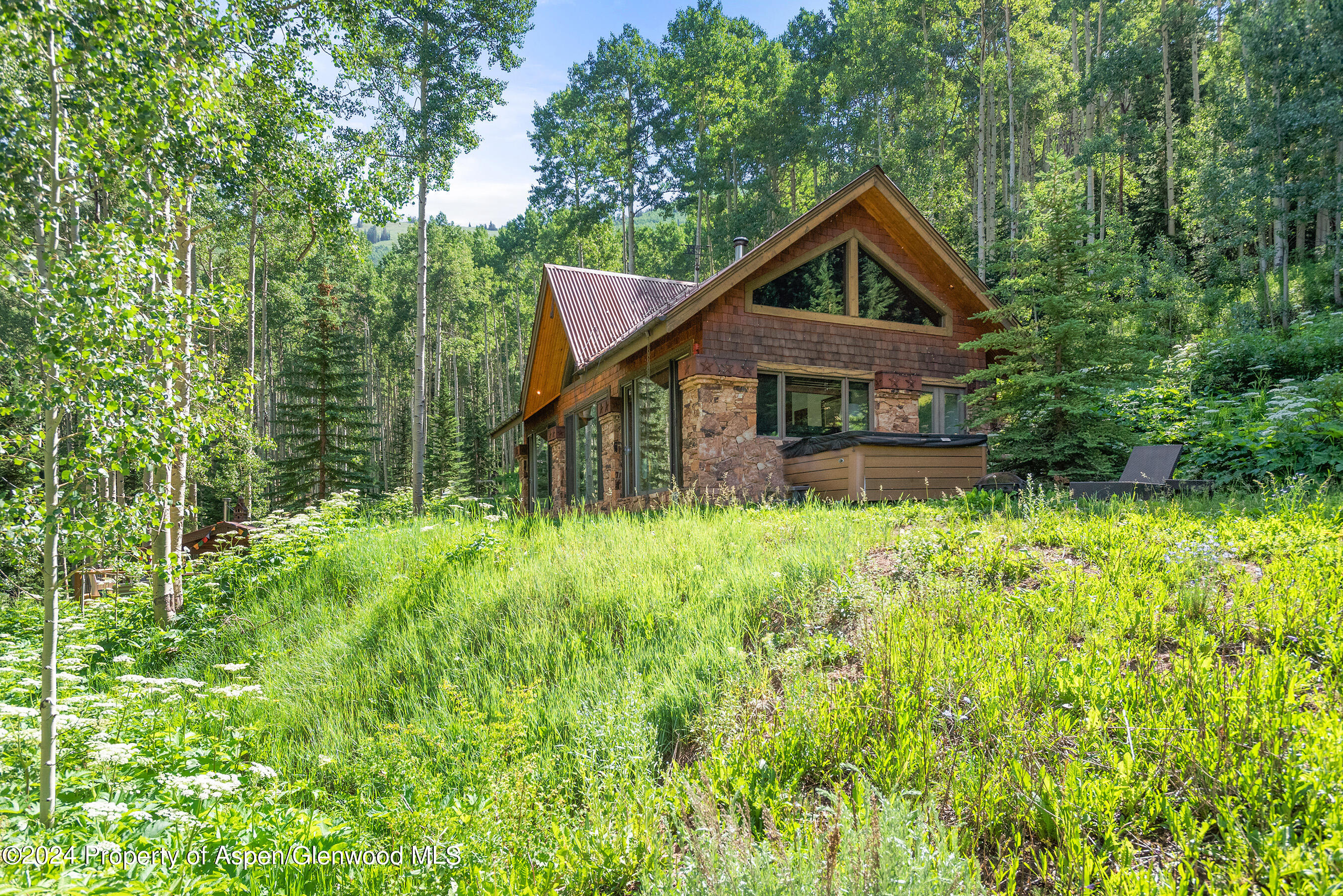 88 Lower Hurricane Road Aspen CO 81611