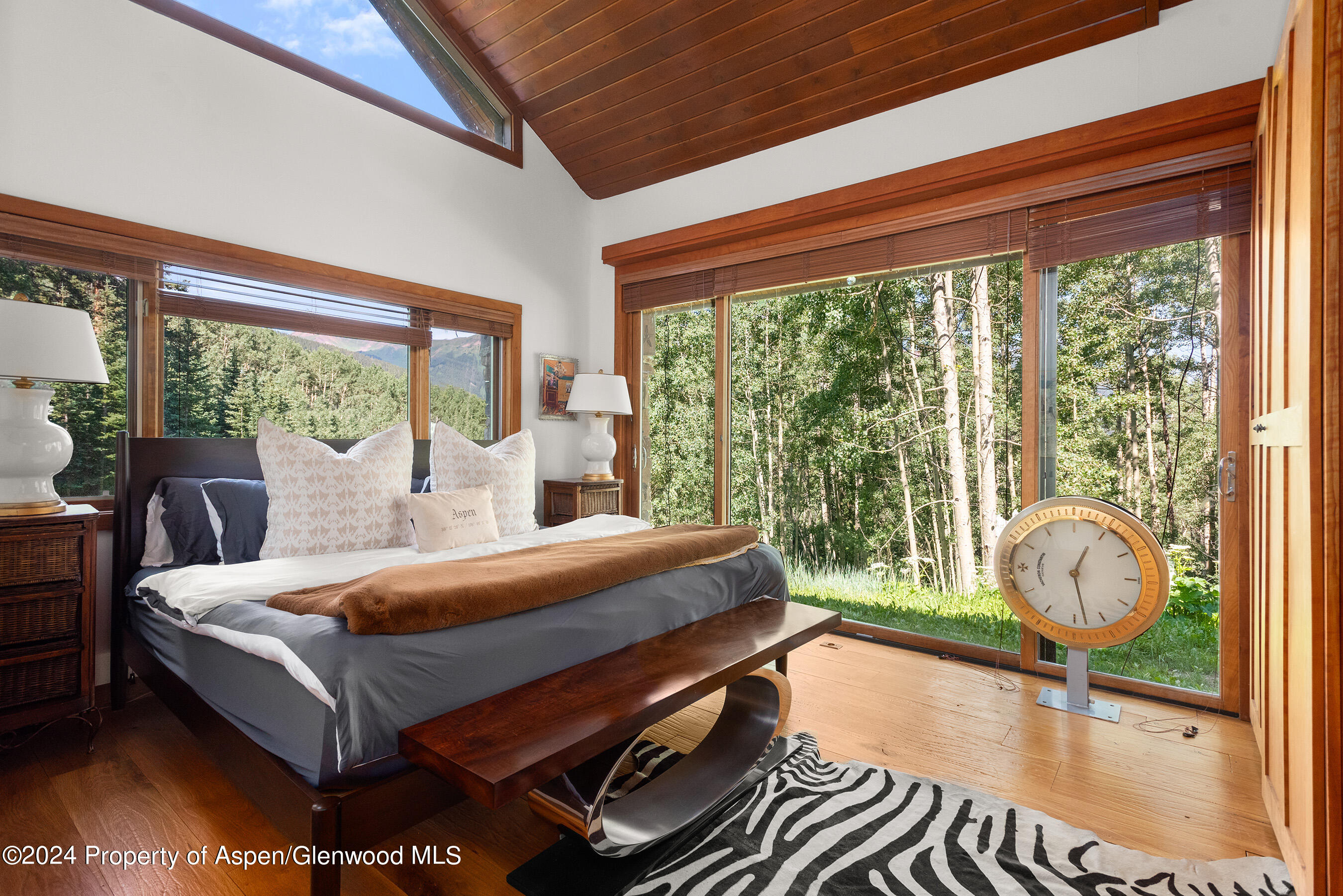 88 Lower Hurricane Road Aspen CO 81611