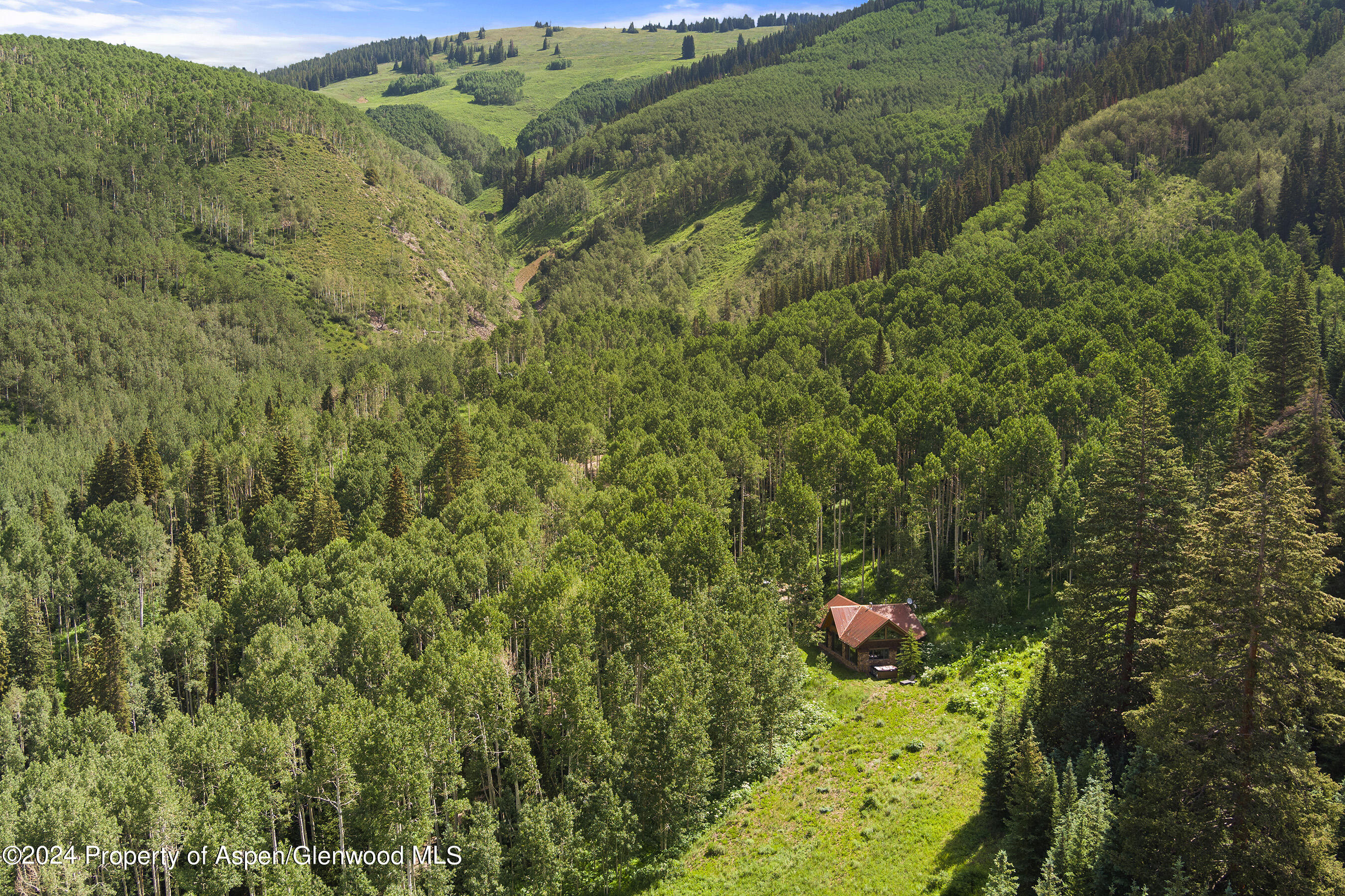 88 Lower Hurricane Road Aspen CO 81611