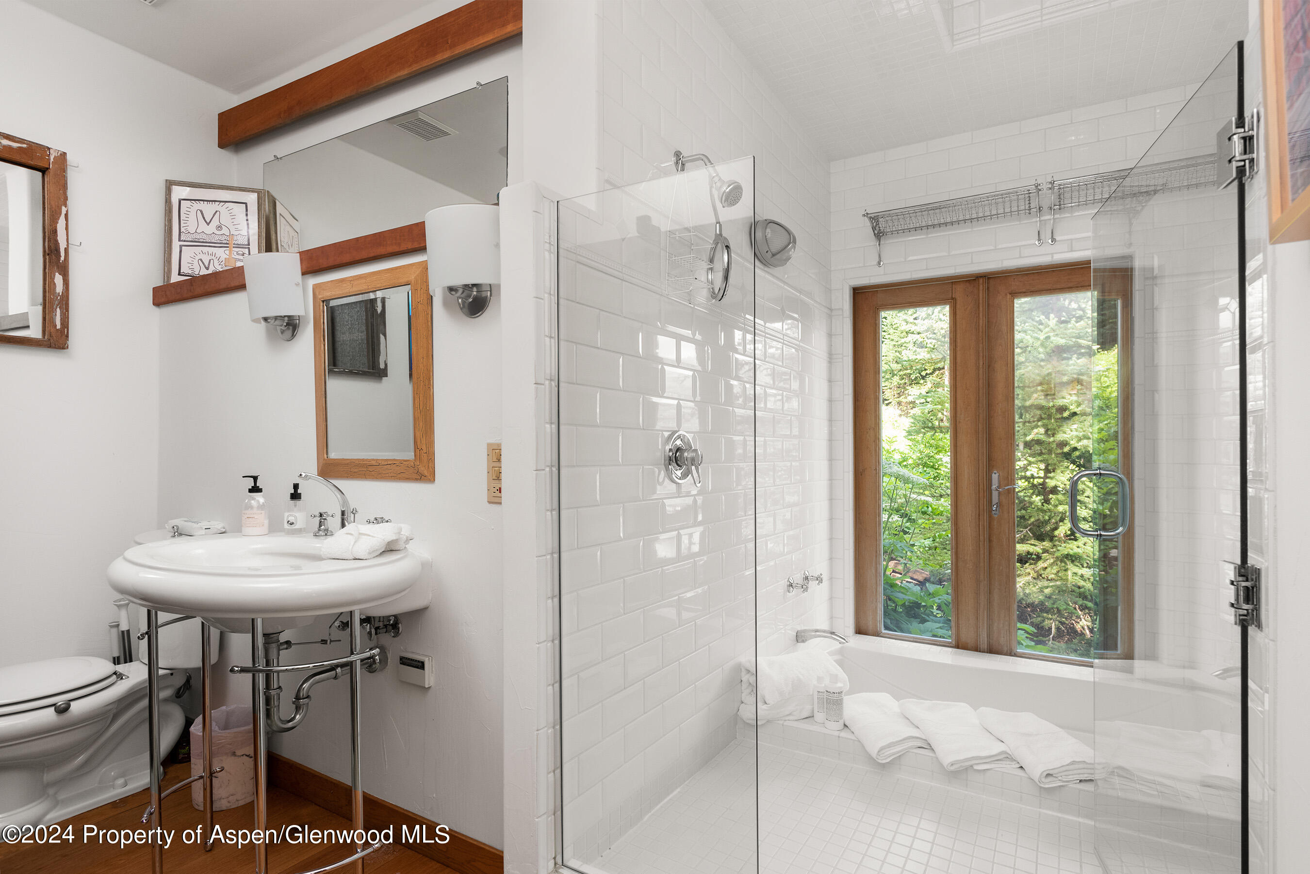 88 Lower Hurricane Road Aspen CO 81611