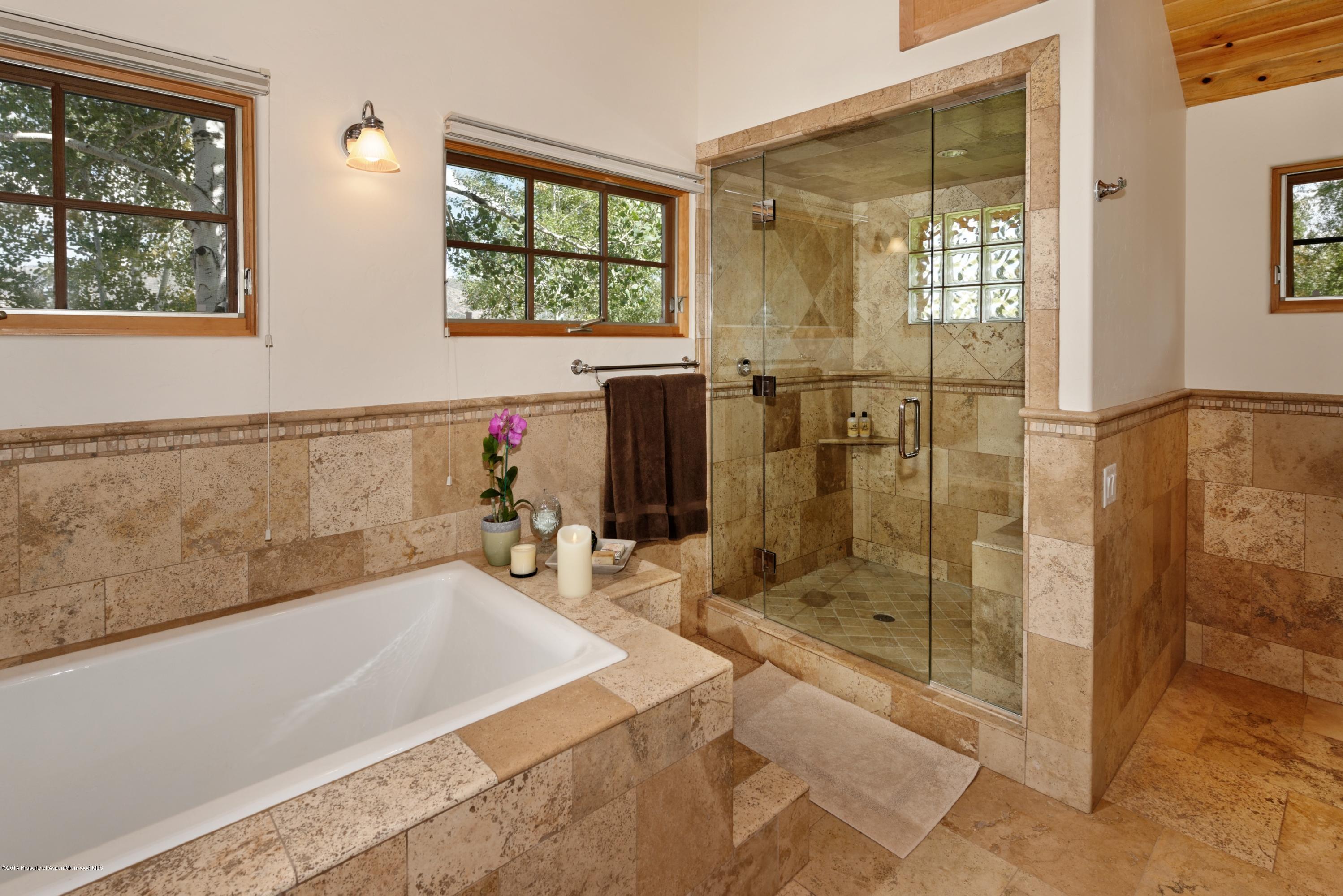 184 Little Elk Creek Avenue Snowmass CO 81654