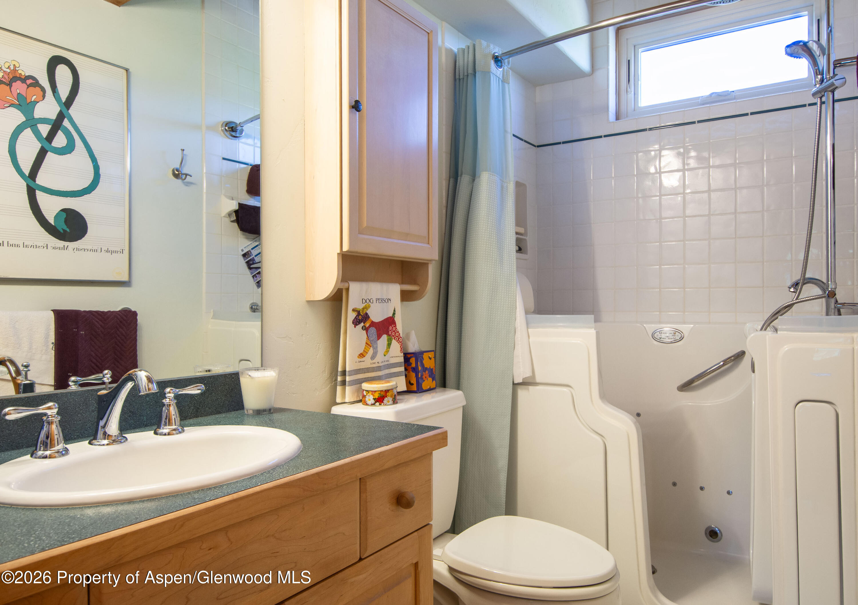 208 Grange Lane Carbondale CO 81623