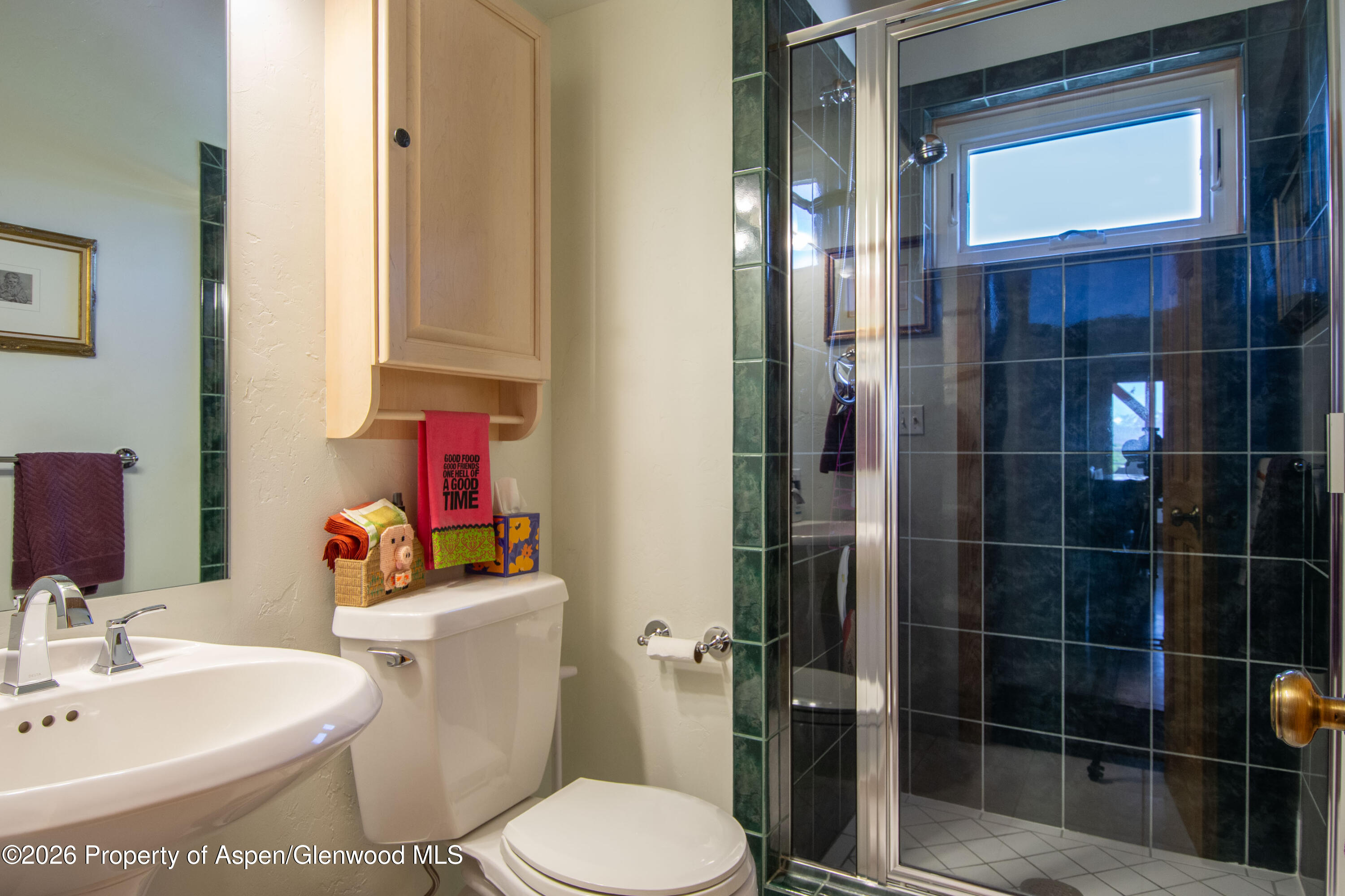 208 Grange Lane Carbondale CO 81623