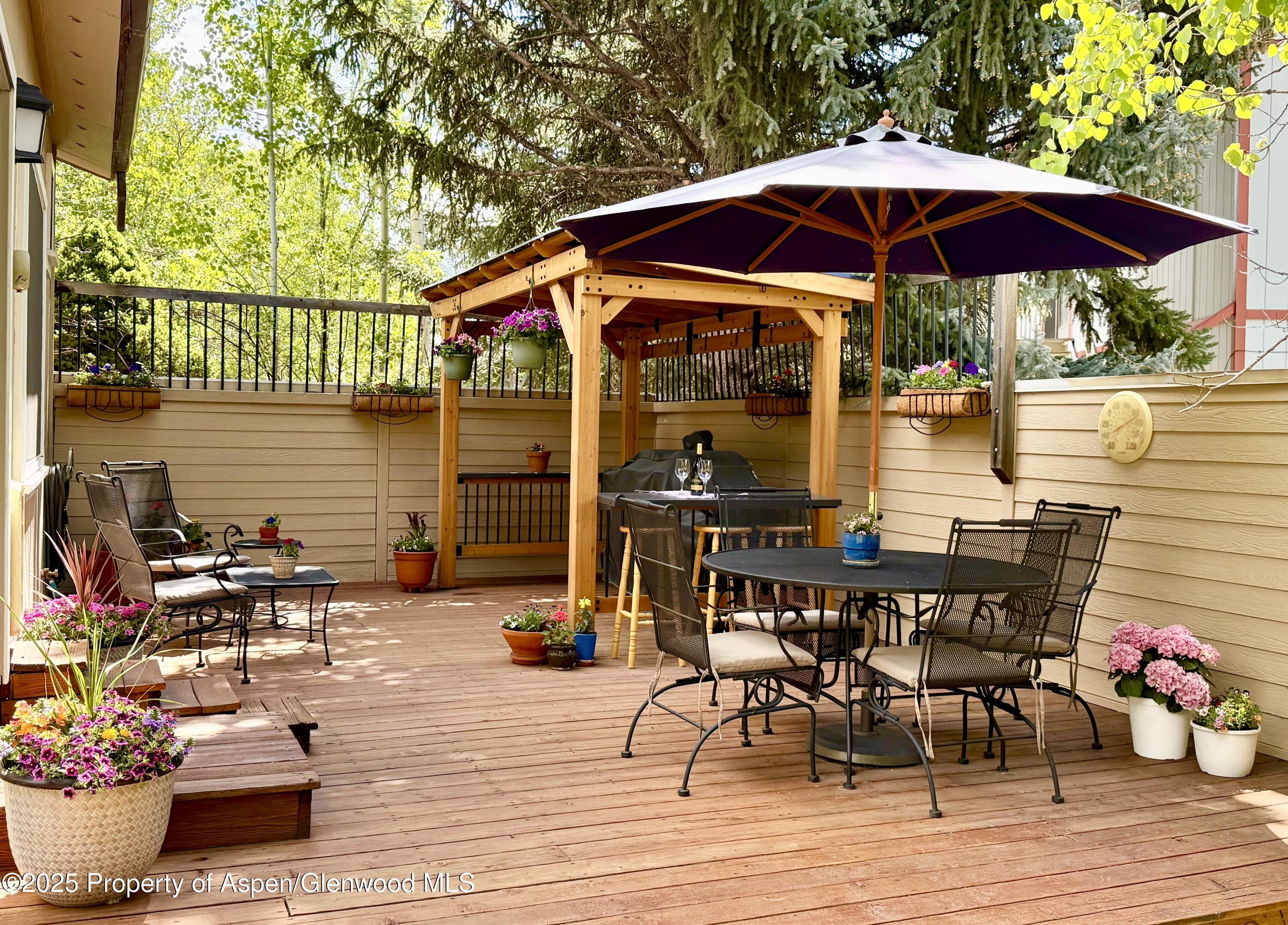 191 Navajo Carbondale CO 81623