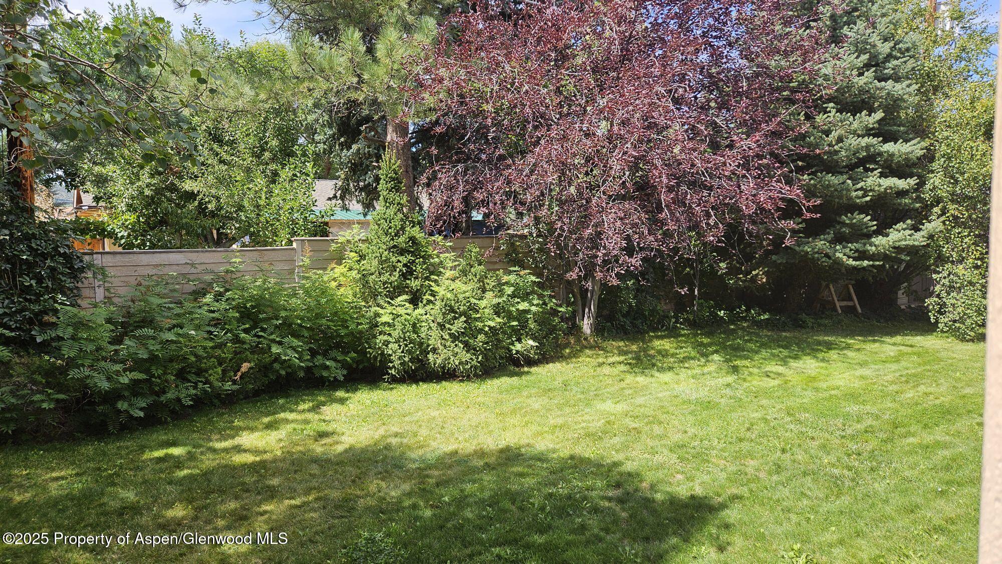 191 Navajo Carbondale CO 81623