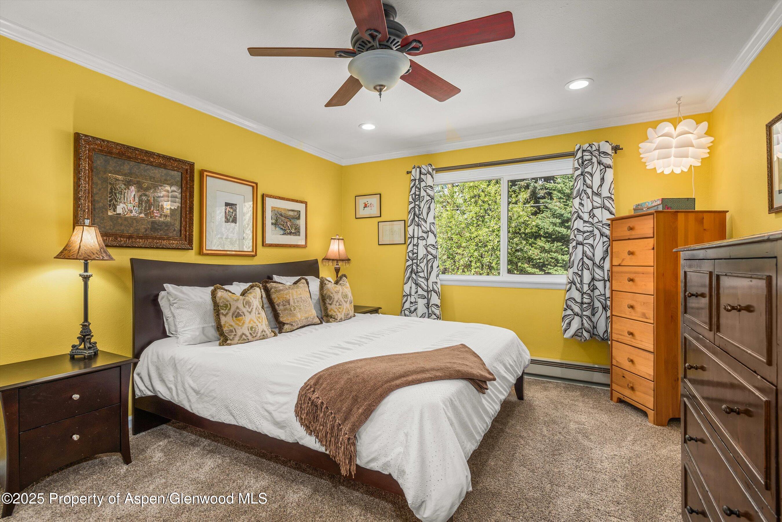 191 Navajo Carbondale CO 81623