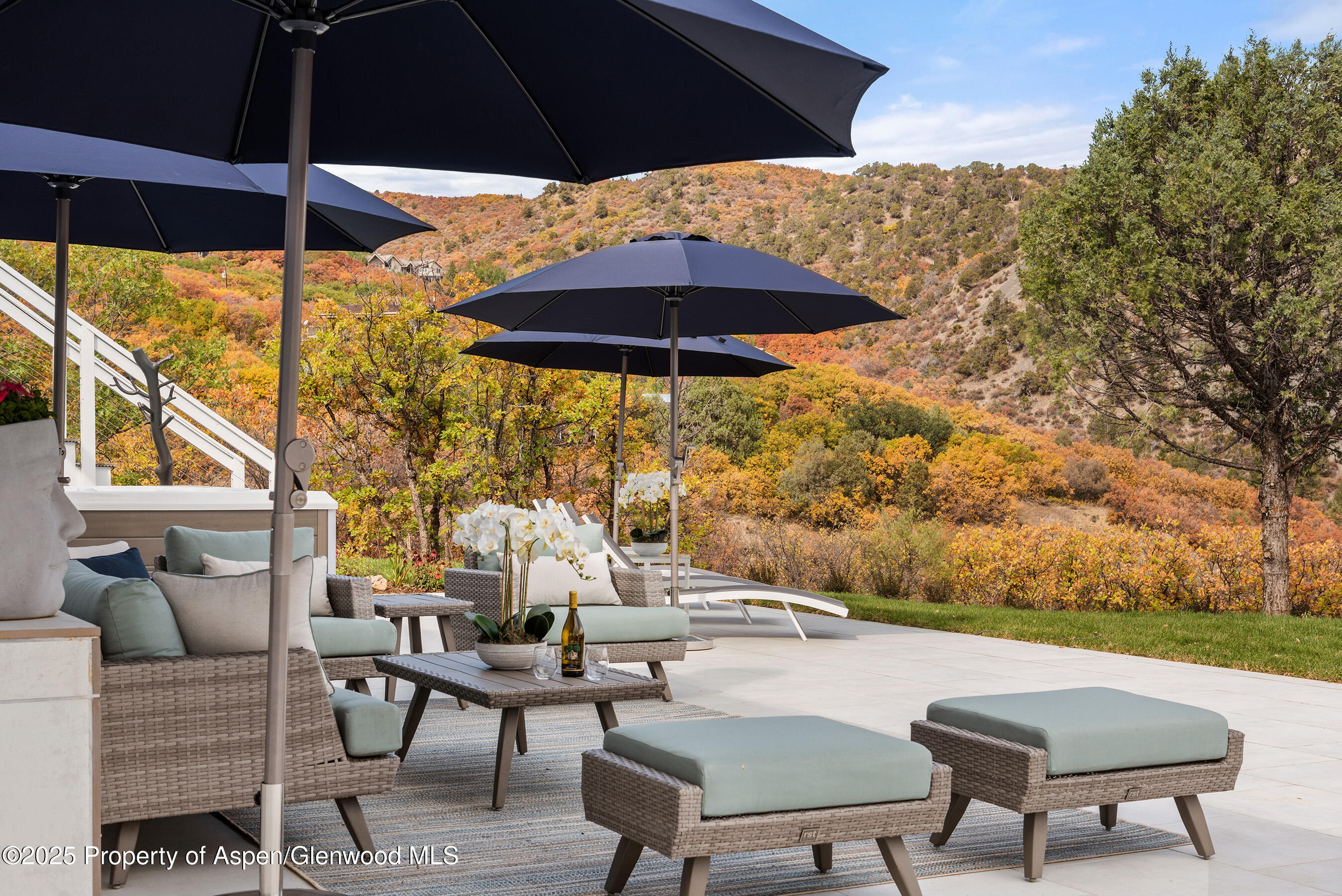 1167 Juniper Hill Road Aspen CO 81611