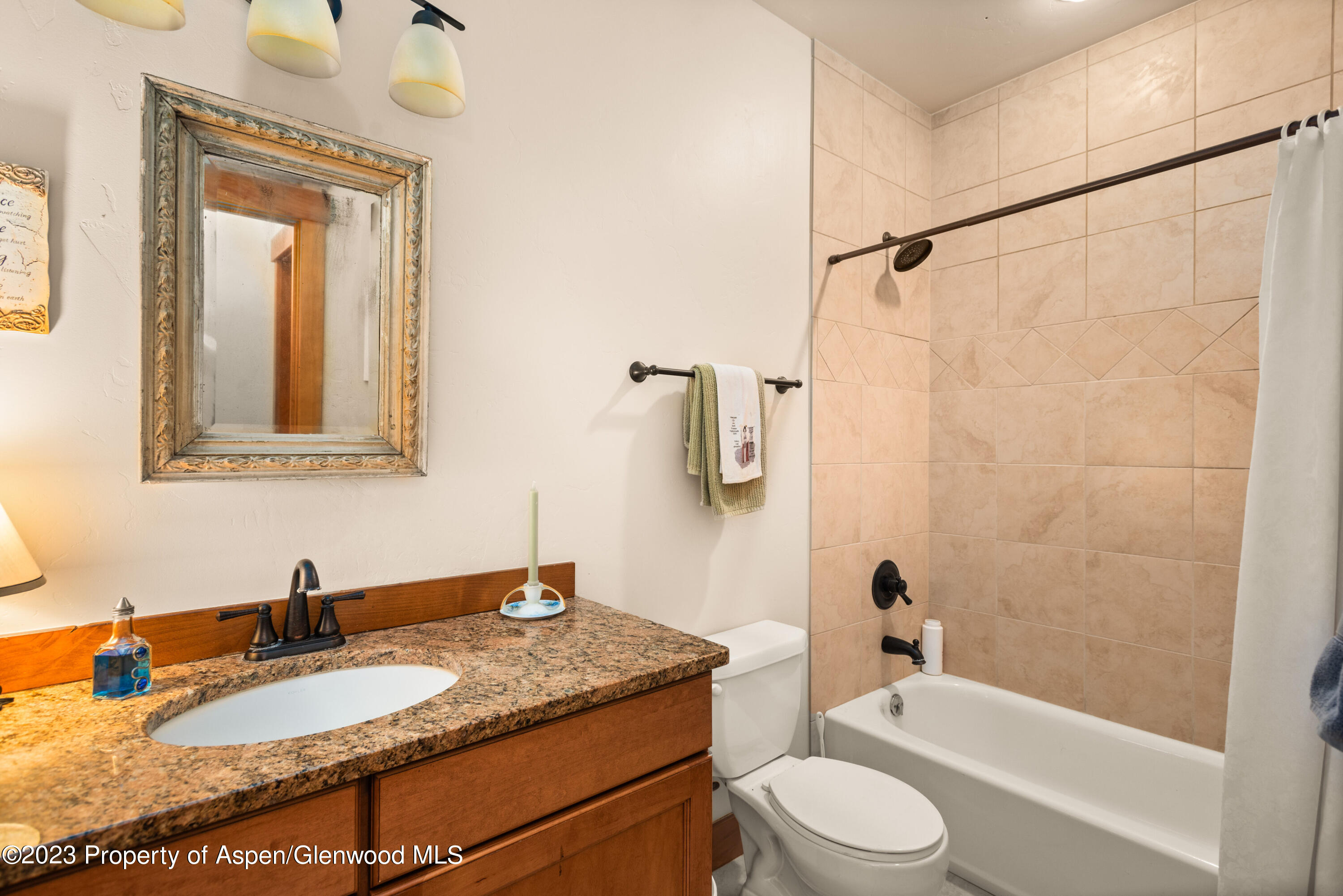 246 Garfield Avenue Carbondale CO 81623