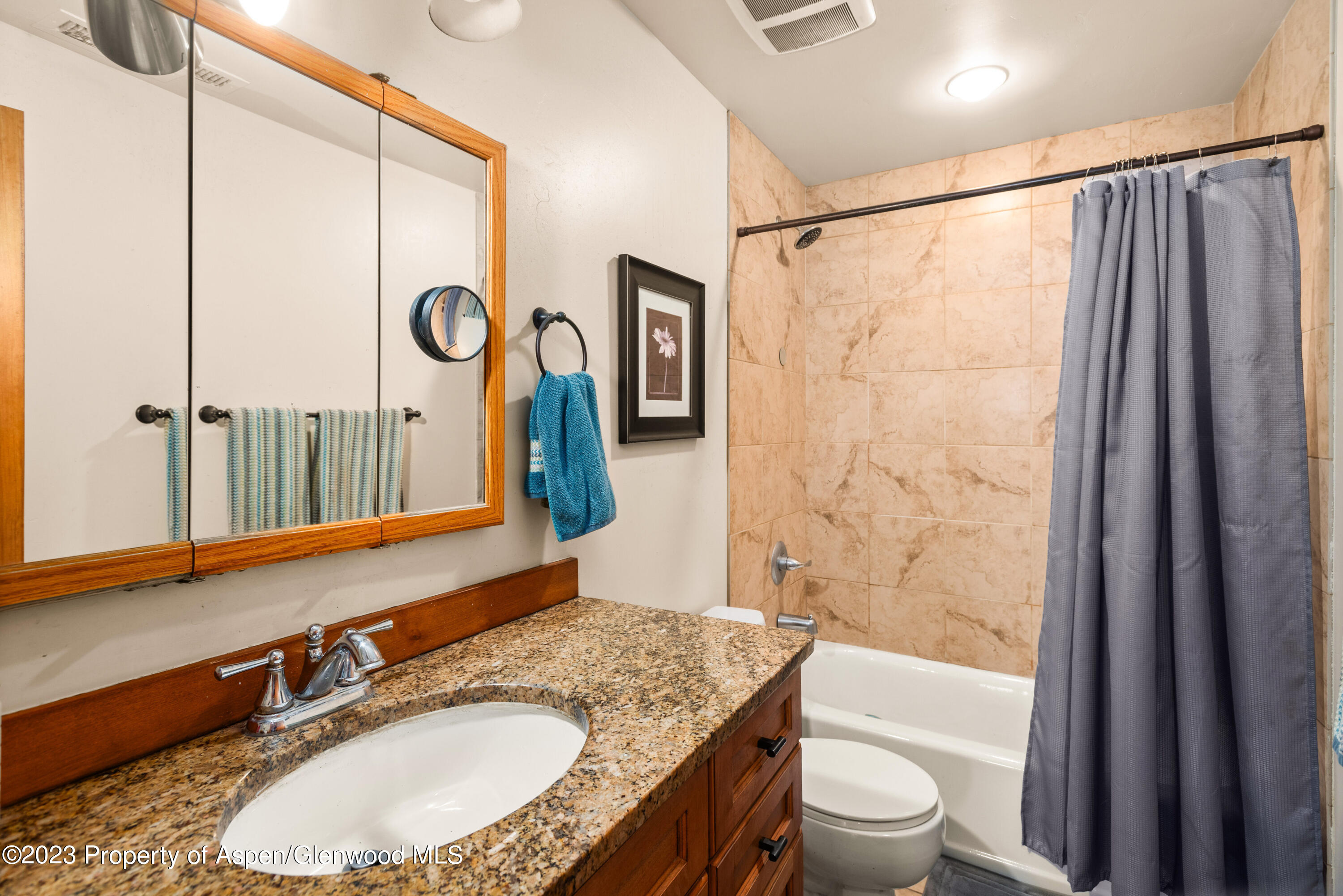 246 Garfield Avenue Carbondale CO 81623