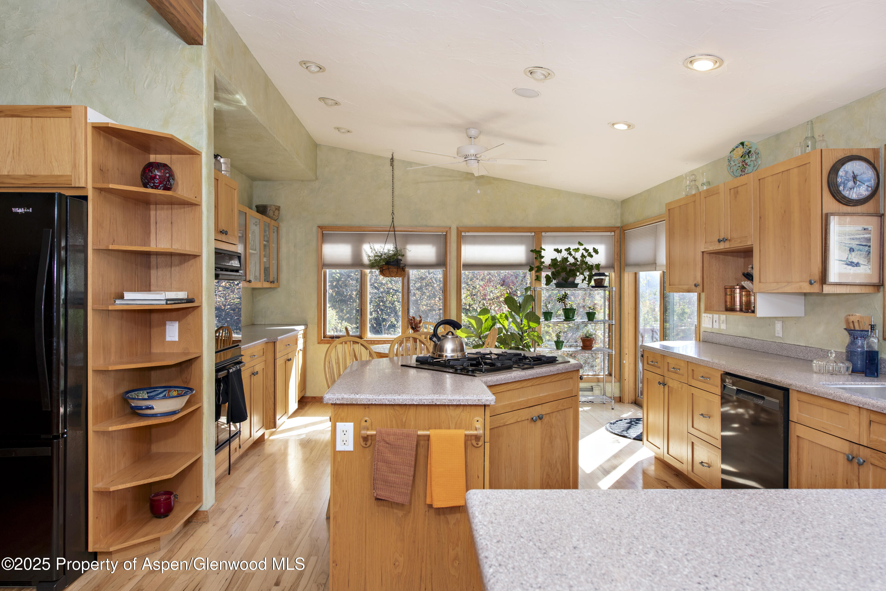 172 Sunny Acres Road Glenwood Springs CO 81601