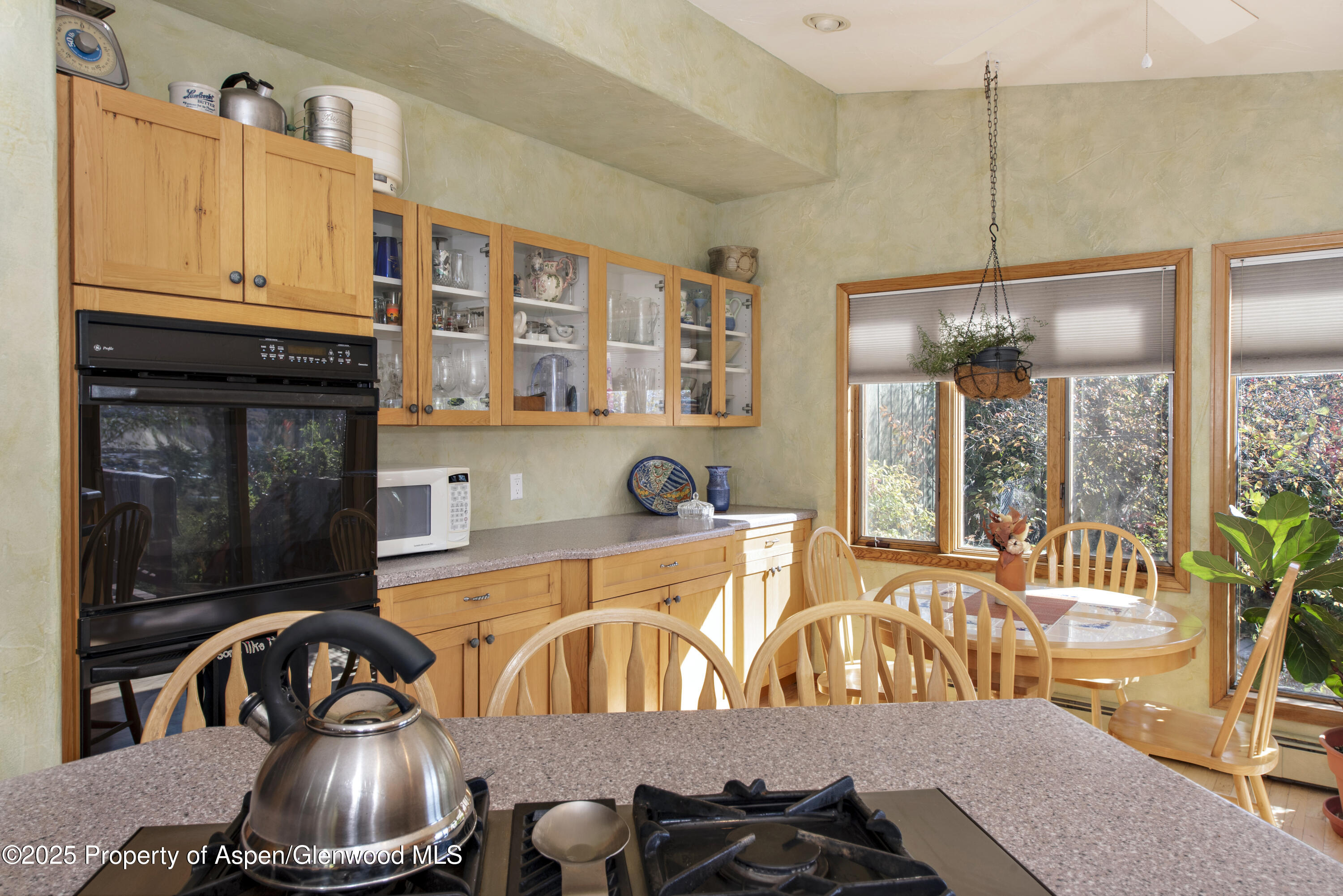 172 Sunny Acres Road Glenwood Springs CO 81601