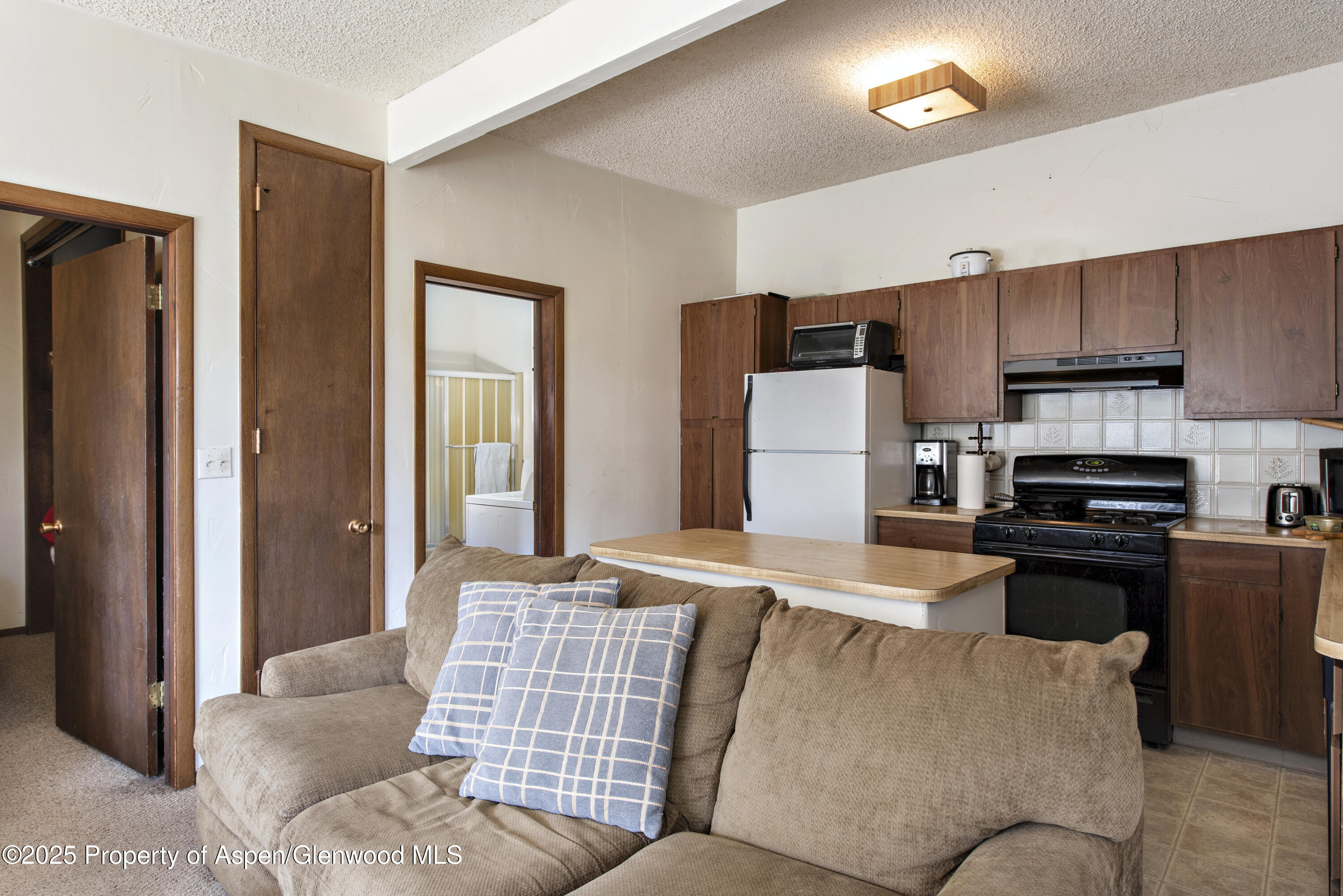 172 Sunny Acres Road Glenwood Springs CO 81601