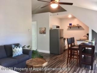 4075 Dolores Way Carbondale CO 81623