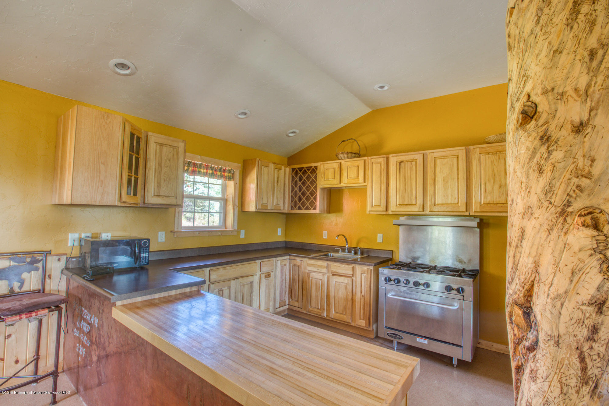 4645 Co Road 265 Somerset CO 81434
