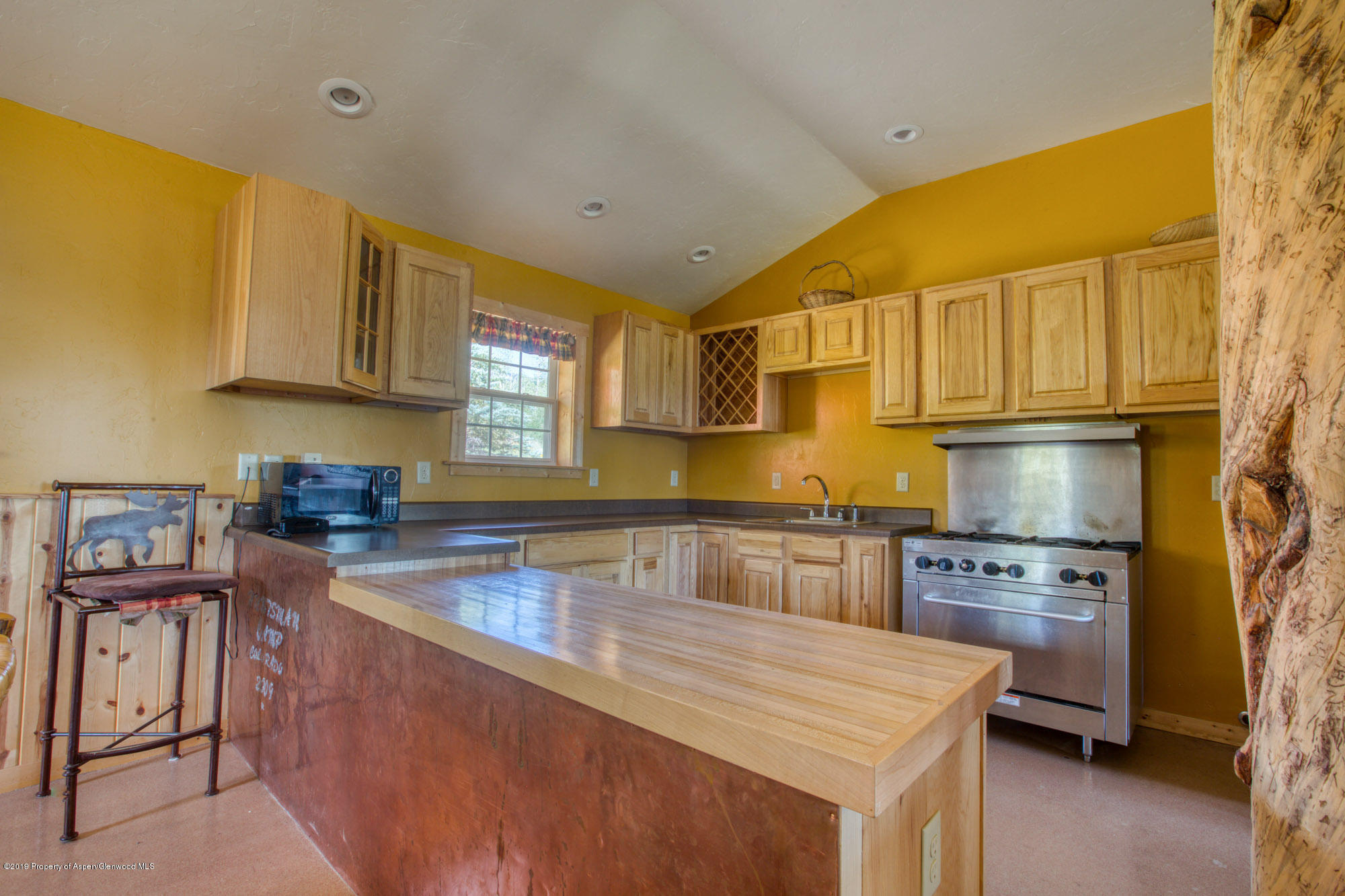4645 Co Road 265 Somerset CO 81434