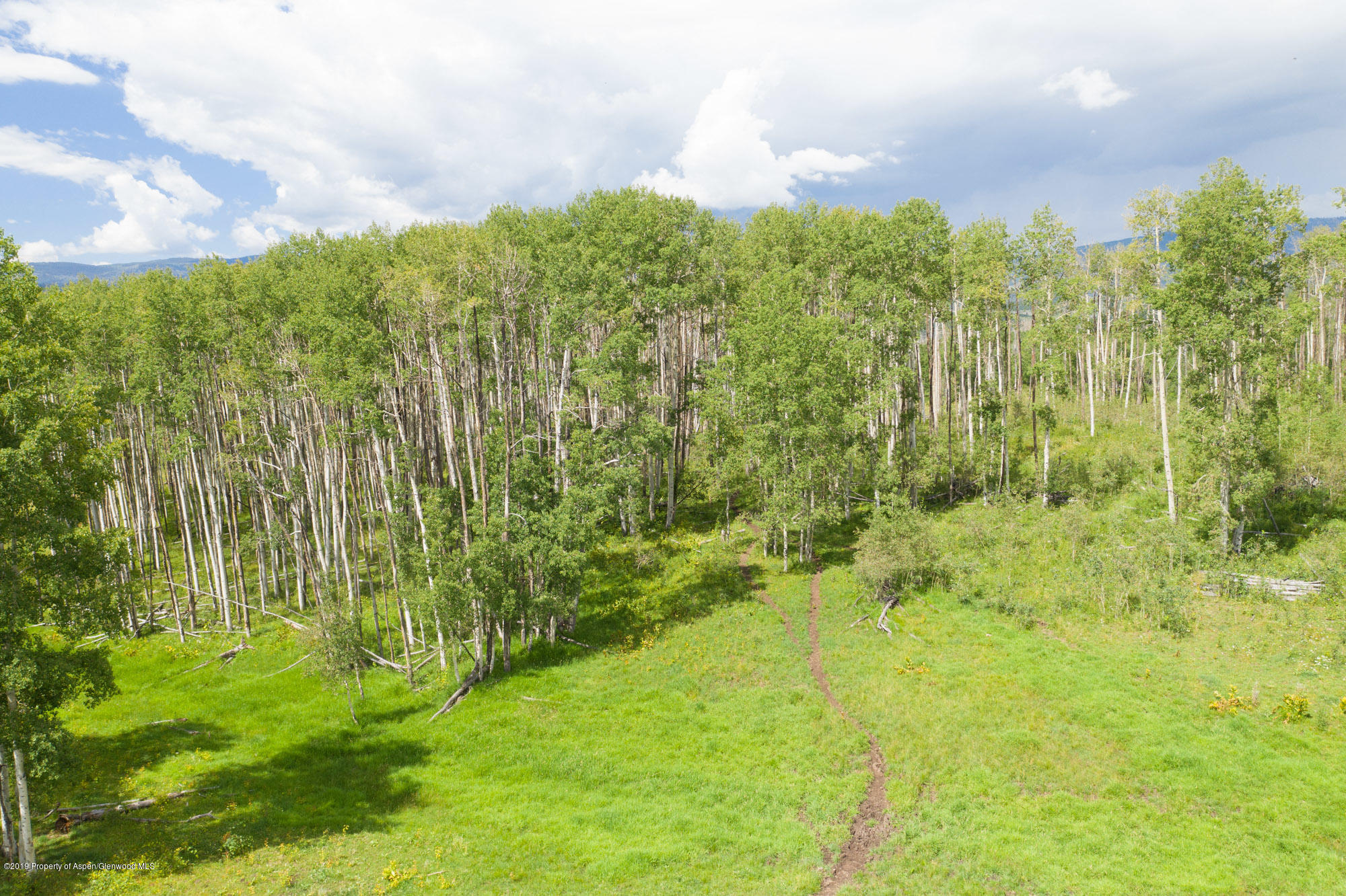 4645 Co Road 265 Somerset CO 81434